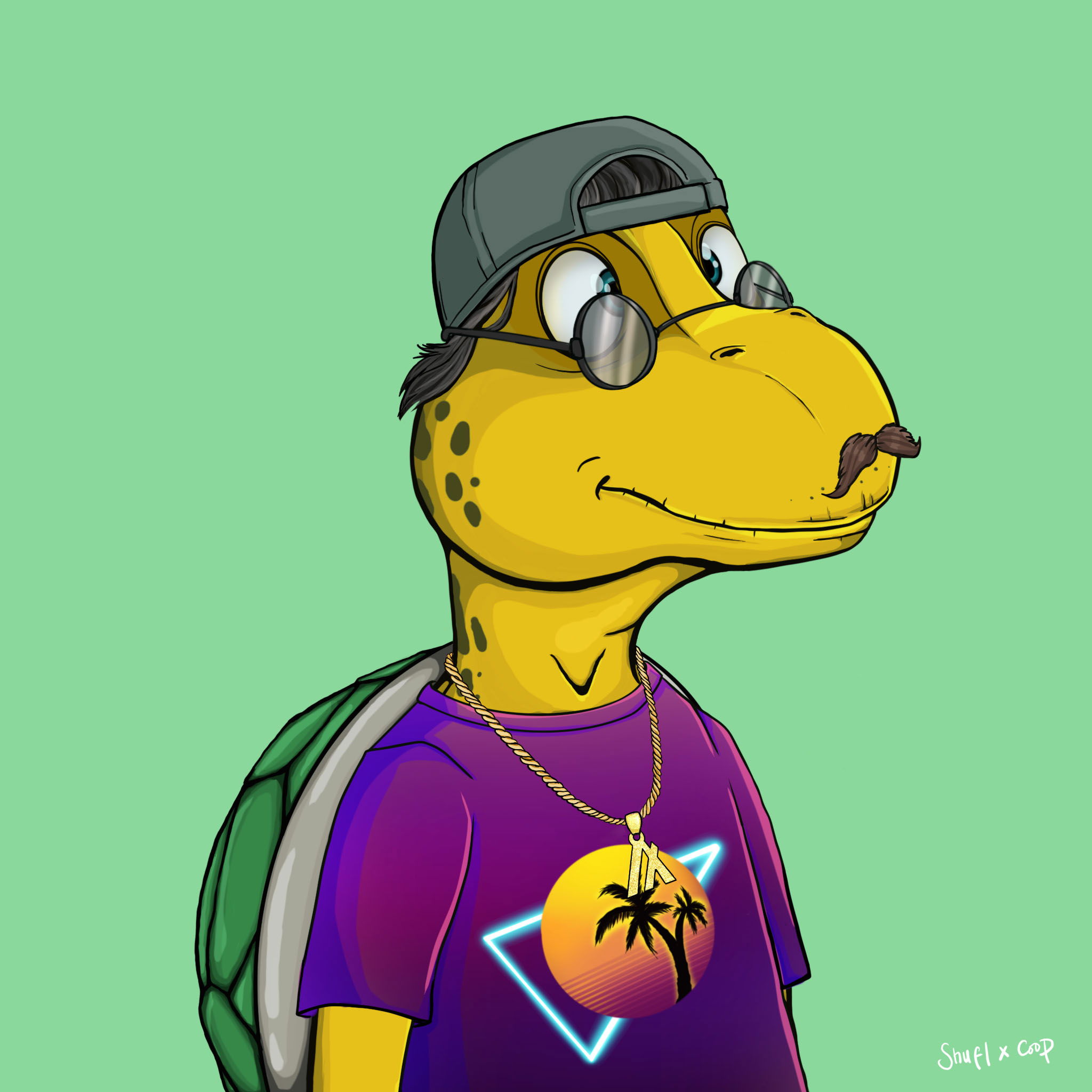 Coopa Troopa #1212 NFT on Algorand