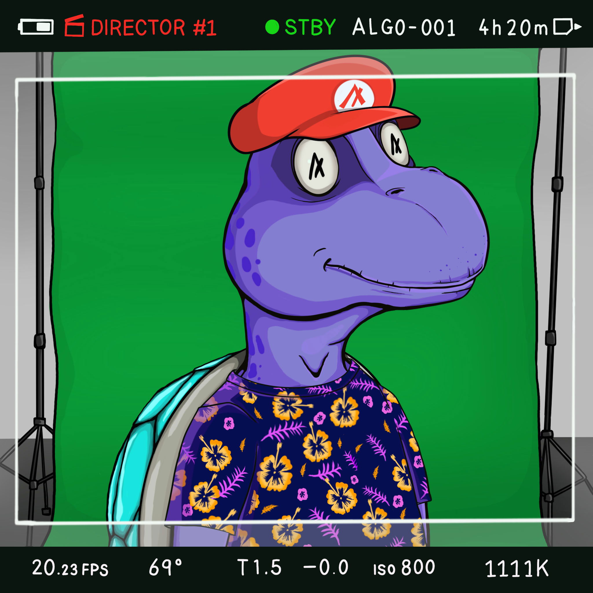 Coopa Troopa #1213 NFT on Algorand