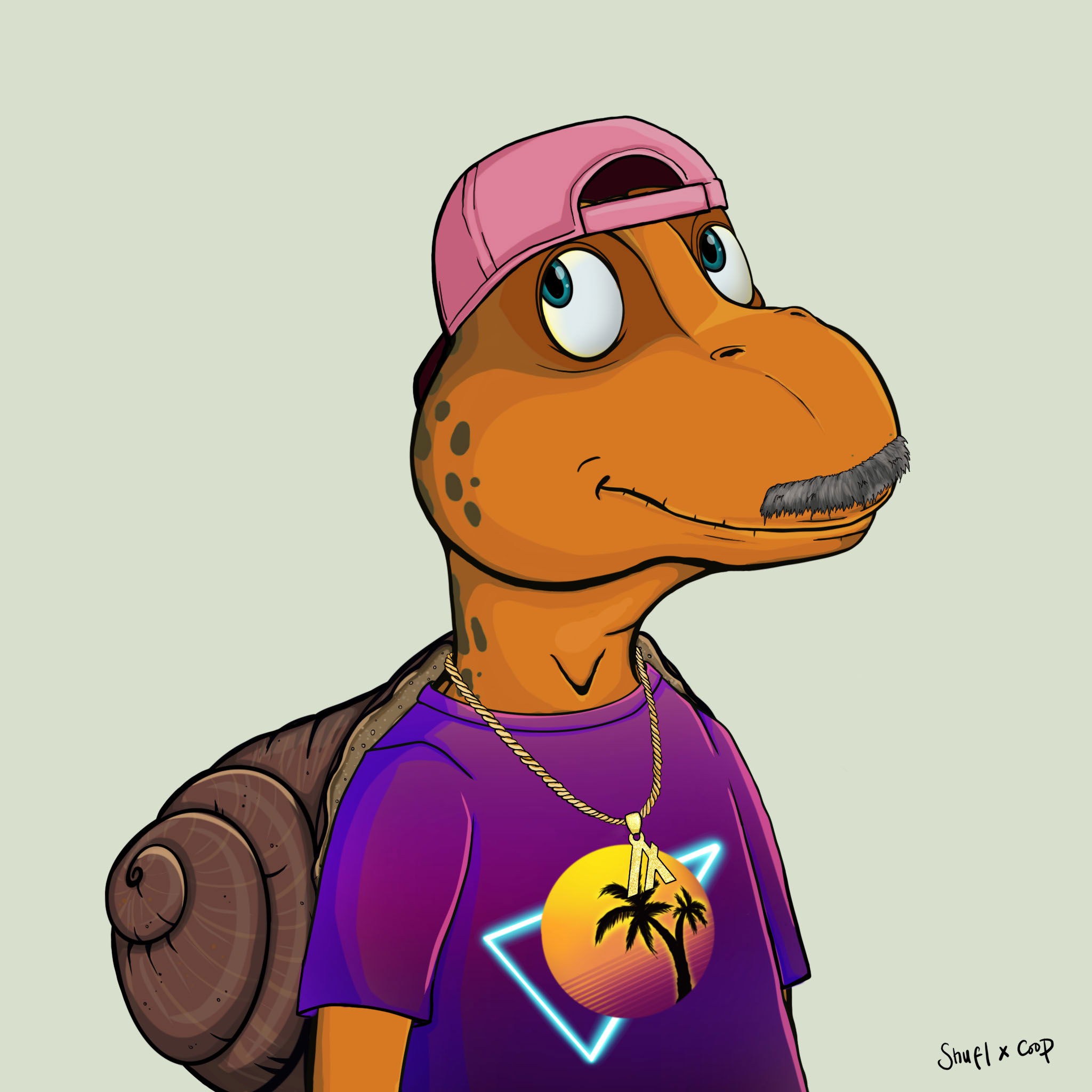 Coopa Troopa #1215 NFT on Algorand