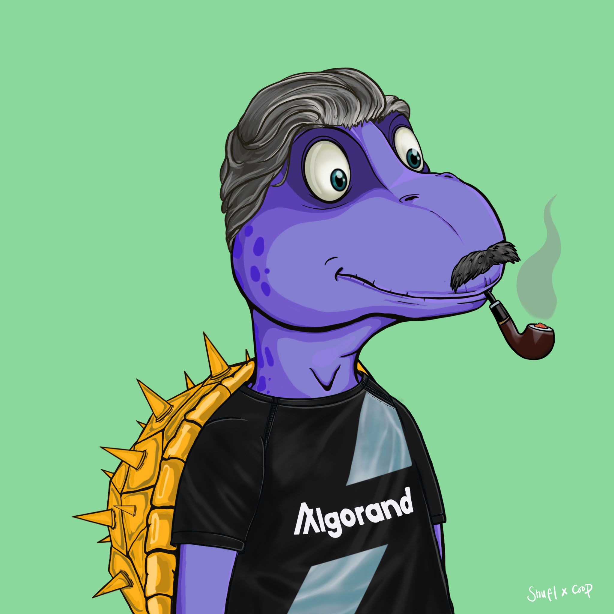 Coopa Troopa #1222 NFT on Algorand