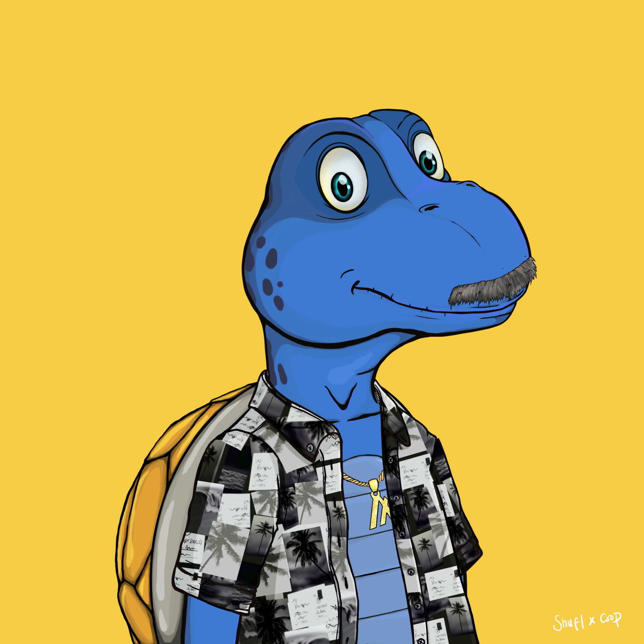 Coopa Troopa #1237 NFT on Algorand