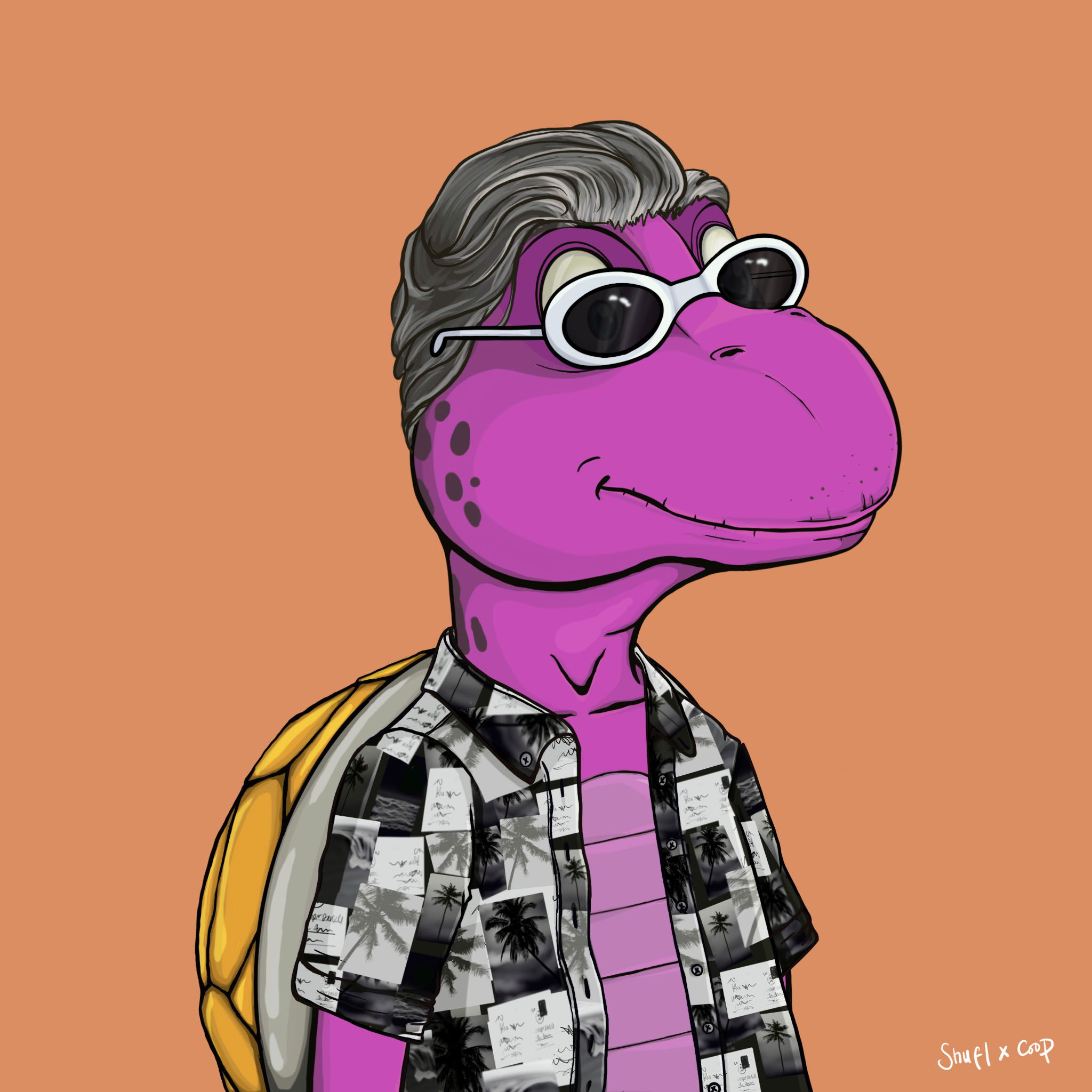 Coopa Troopa #1240 NFT on Algorand