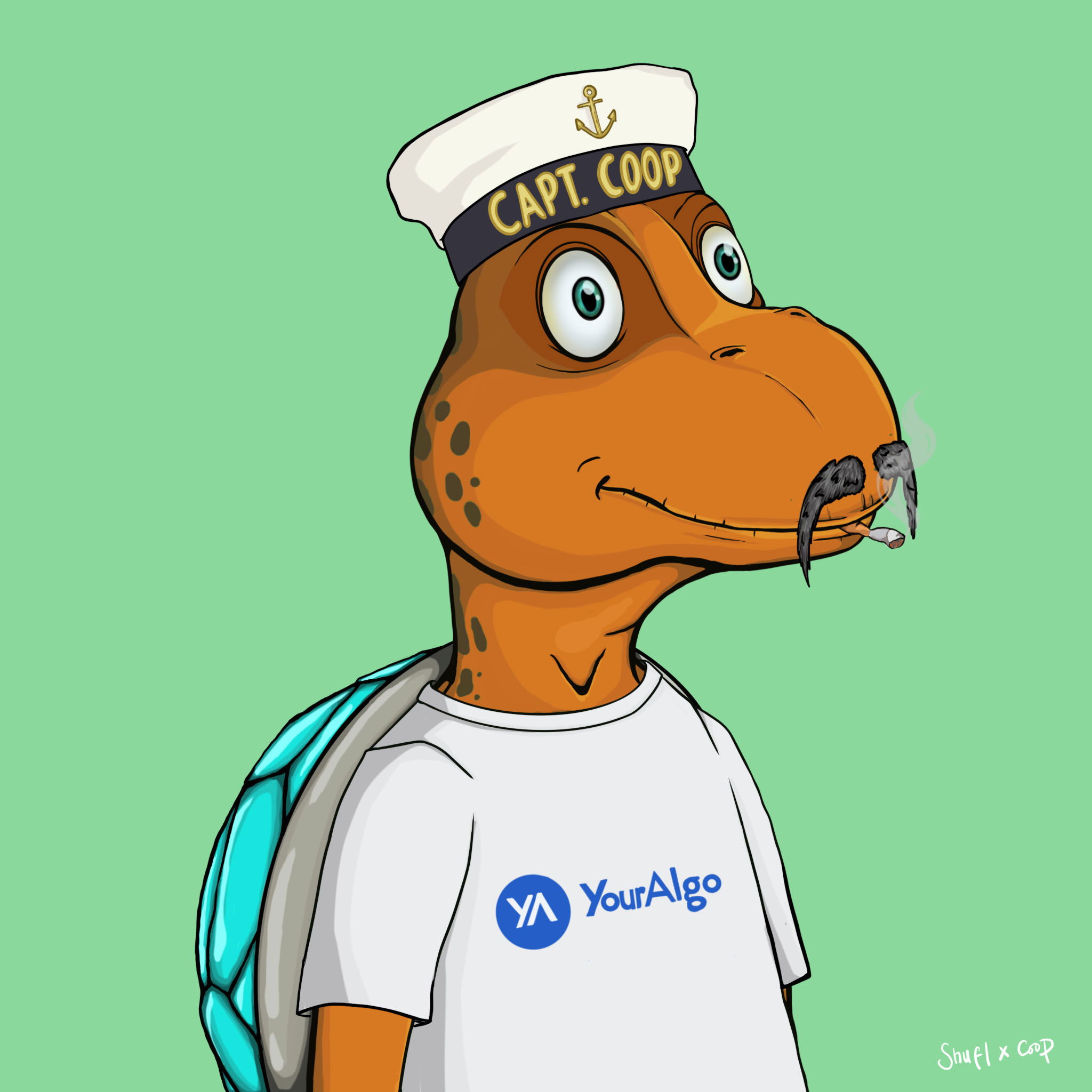 Coopa Troopa #1249 NFT on Algorand