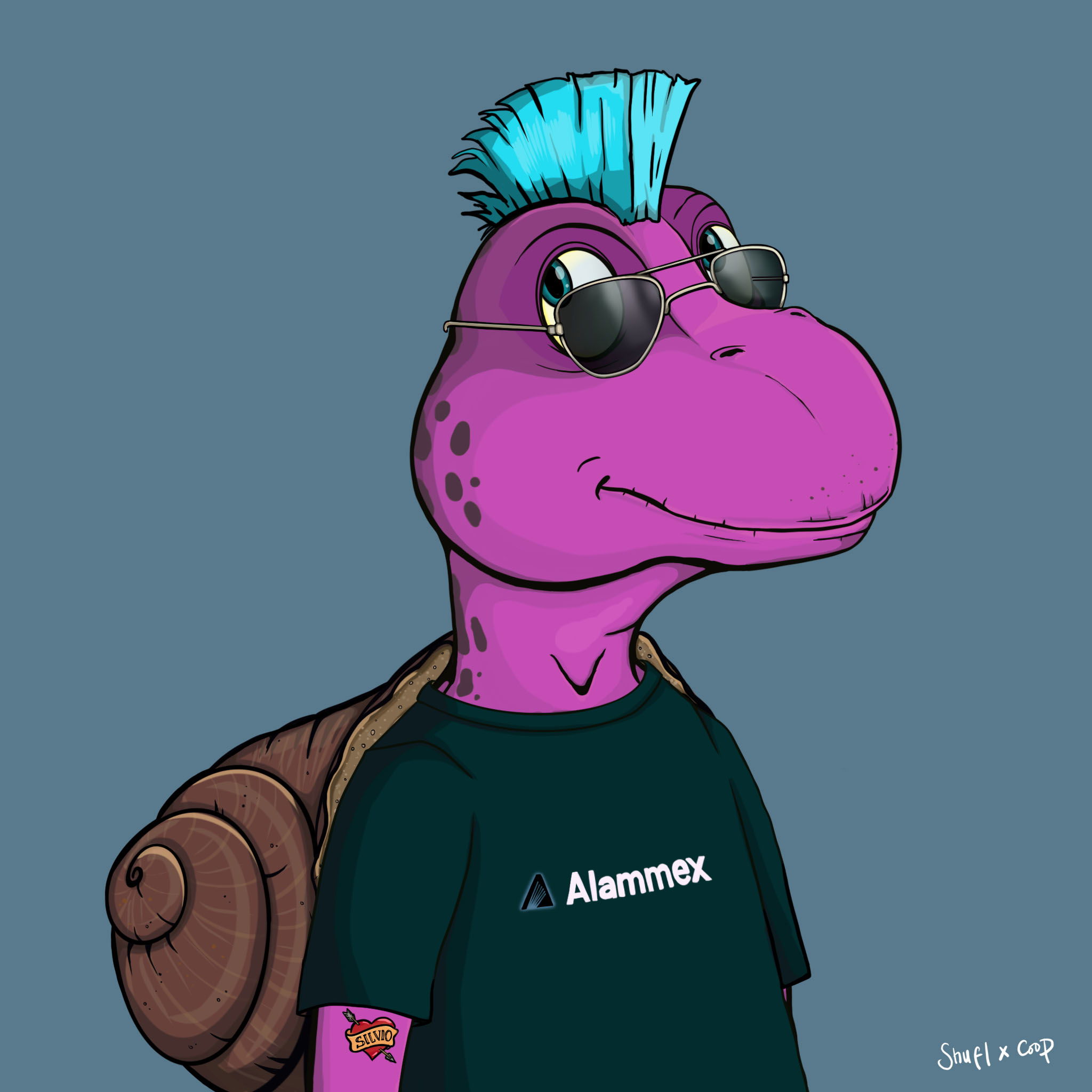 Coopa Troopa #1252 NFT on Algorand