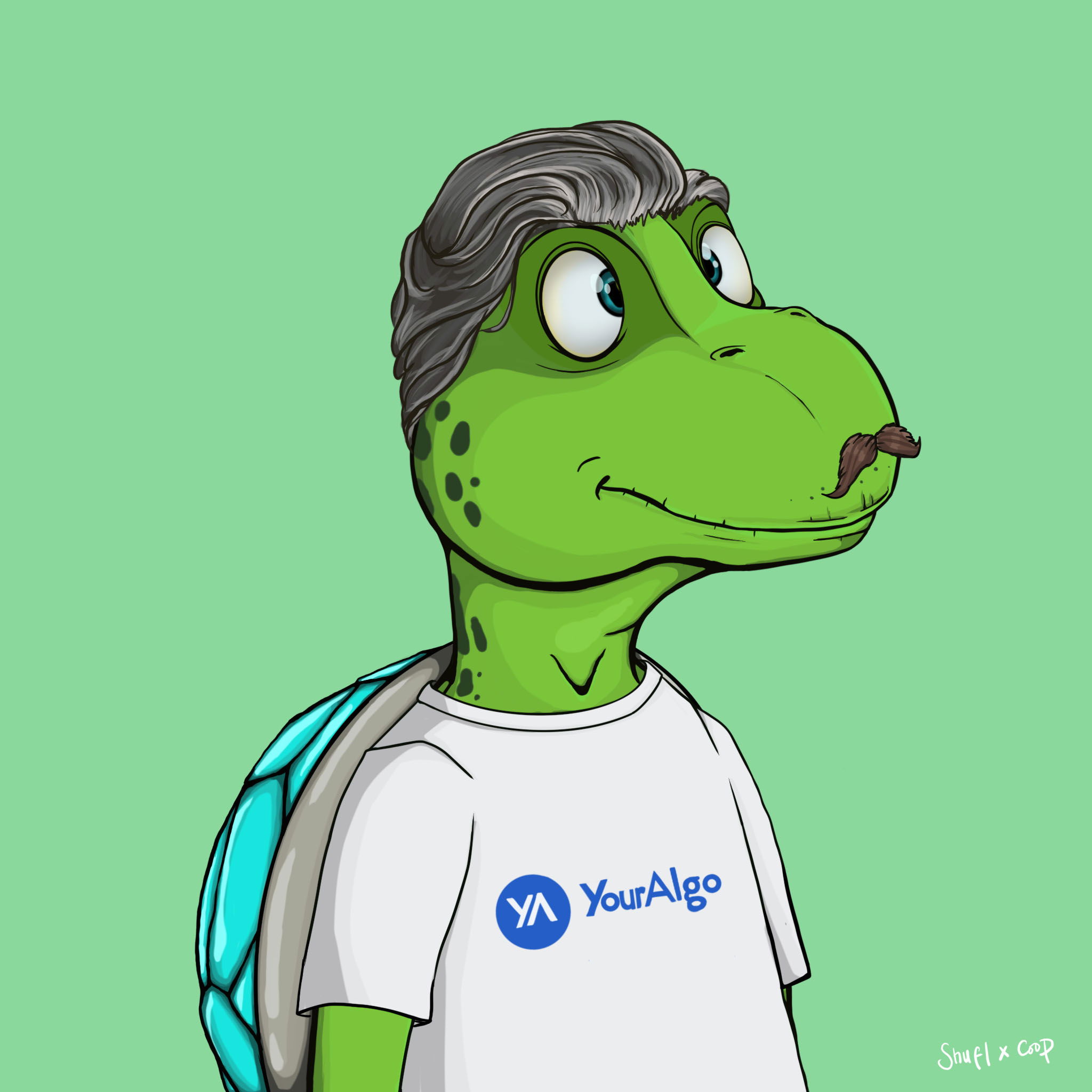 Coopa Troopa #1254 NFT on Algorand