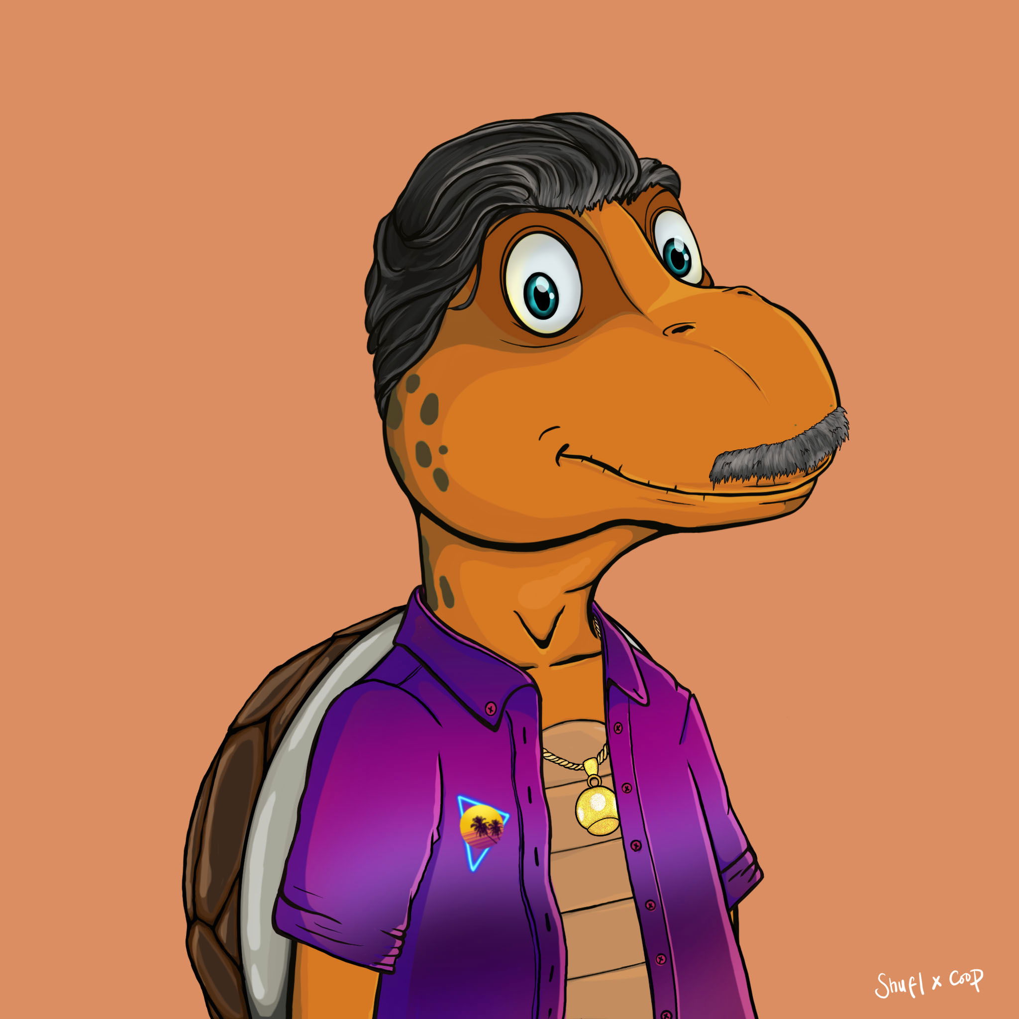 Coopa Troopa #1255 NFT on Algorand