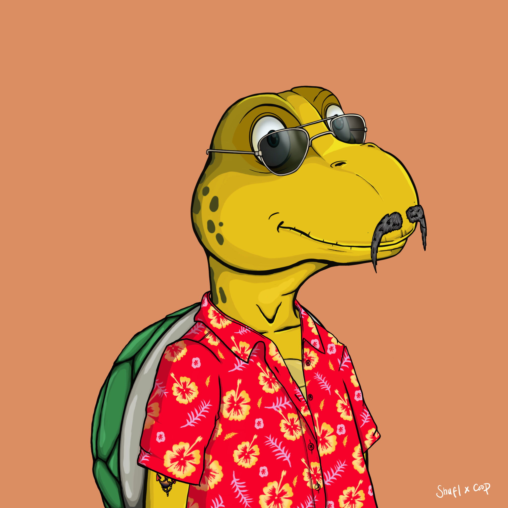 Coopa Troopa #1257 NFT on Algorand