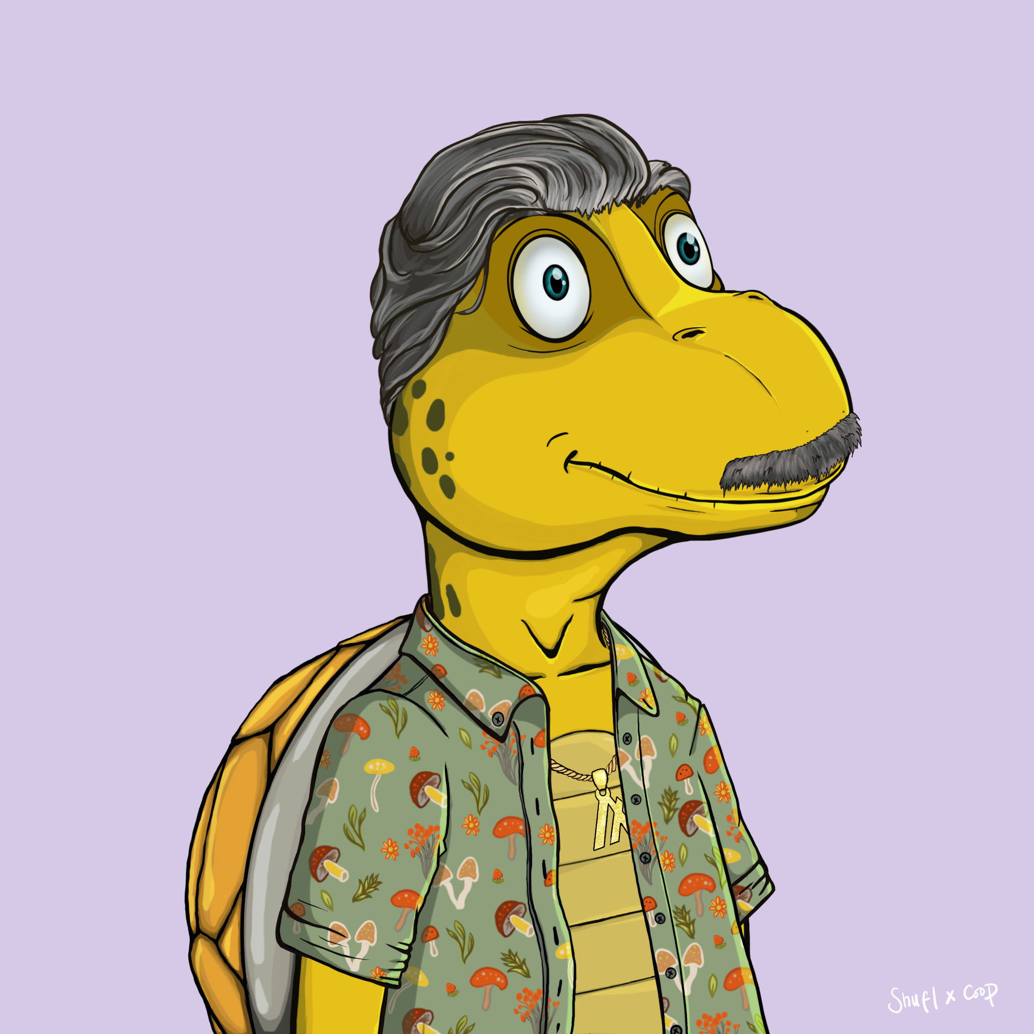 Coopa Troopa #1262 NFT on Algorand