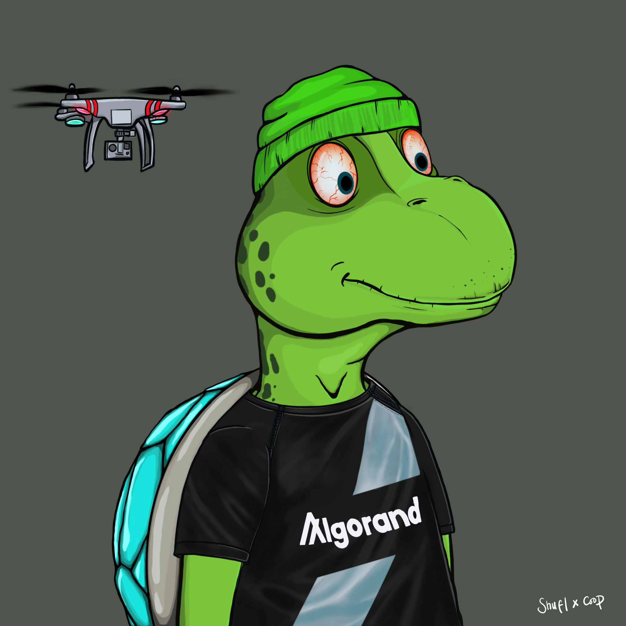 Coopa Troopa #1265 NFT on Algorand