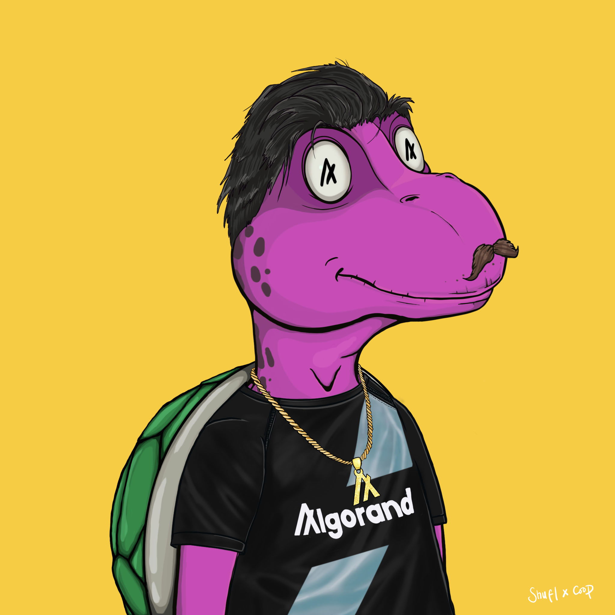 Coopa Troopa #1267 NFT on Algorand