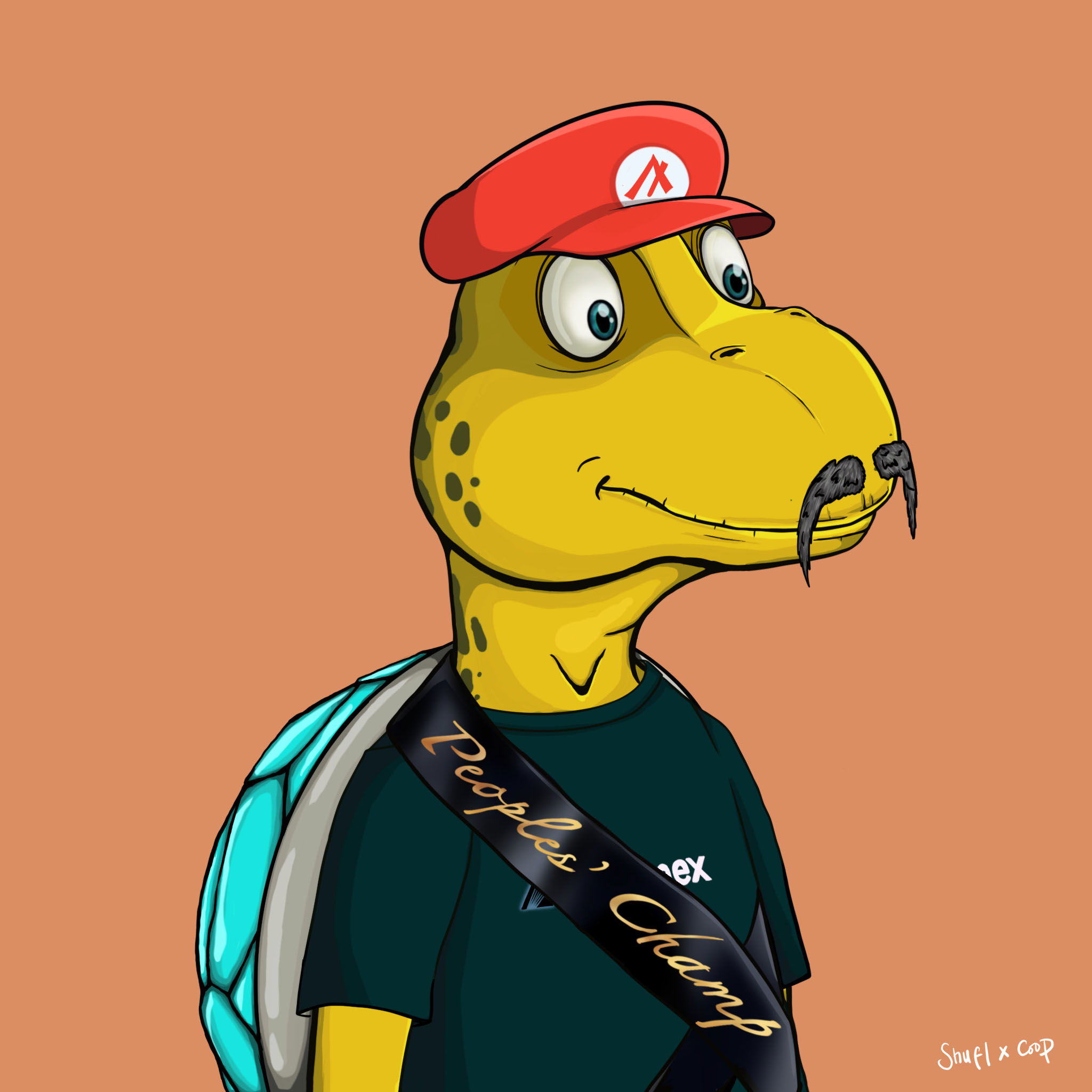 Coopa Troopa #1290 NFT on Algorand