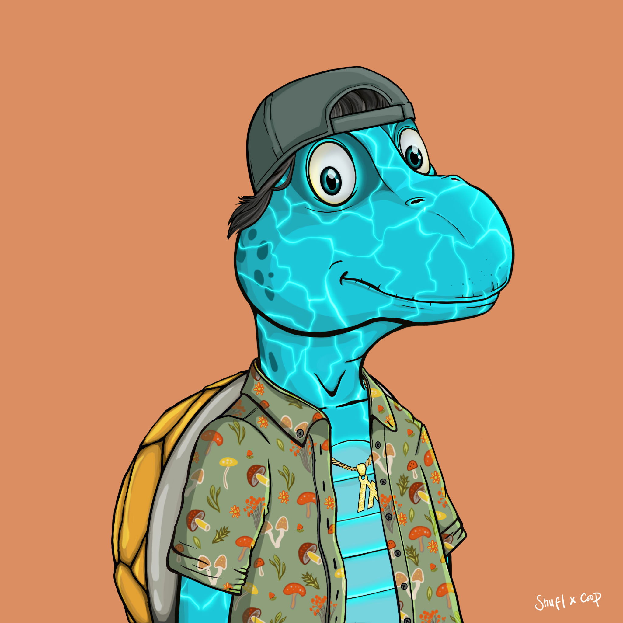 Coopa Troopa #1291 NFT on Algorand