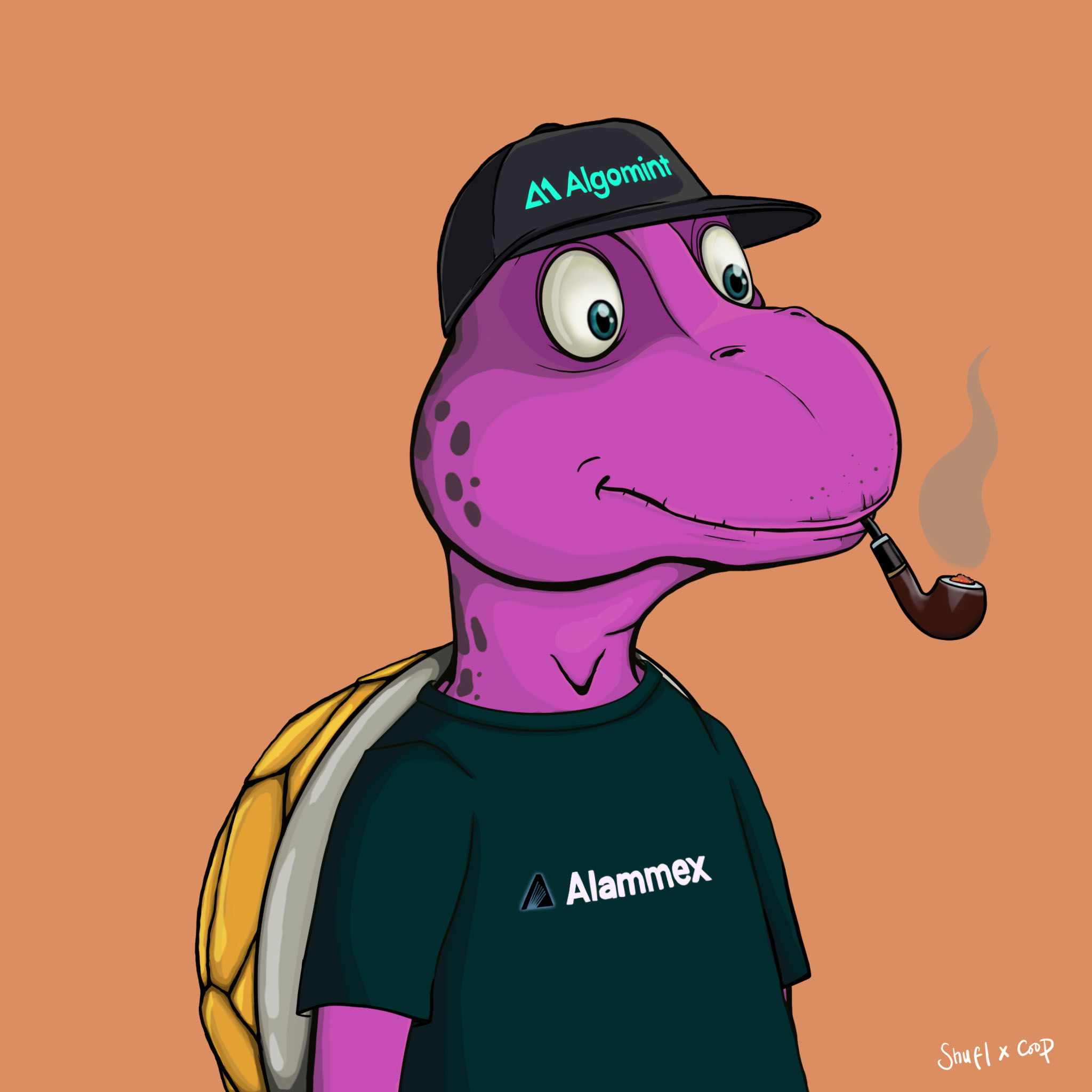 Coopa Troopa #1292 NFT on Algorand