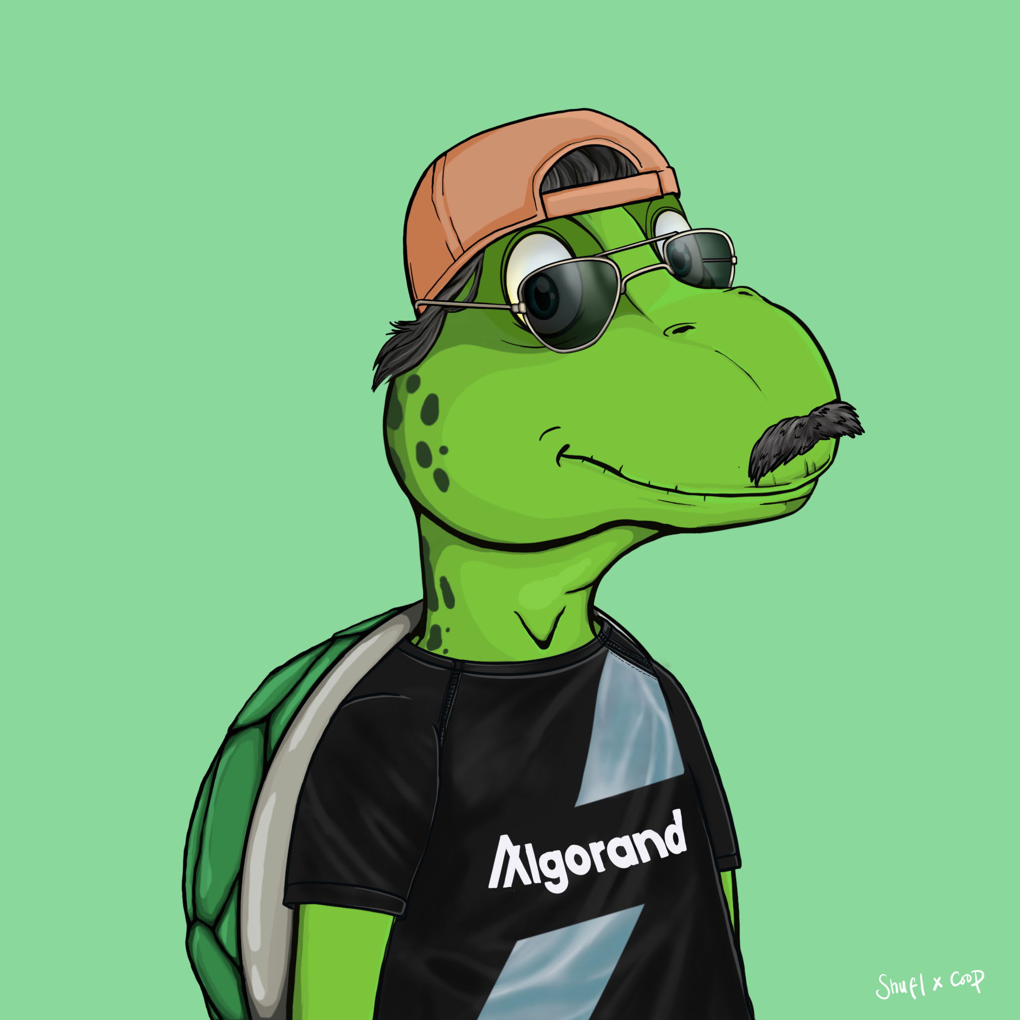 Coopa Troopa #1297 NFT on Algorand