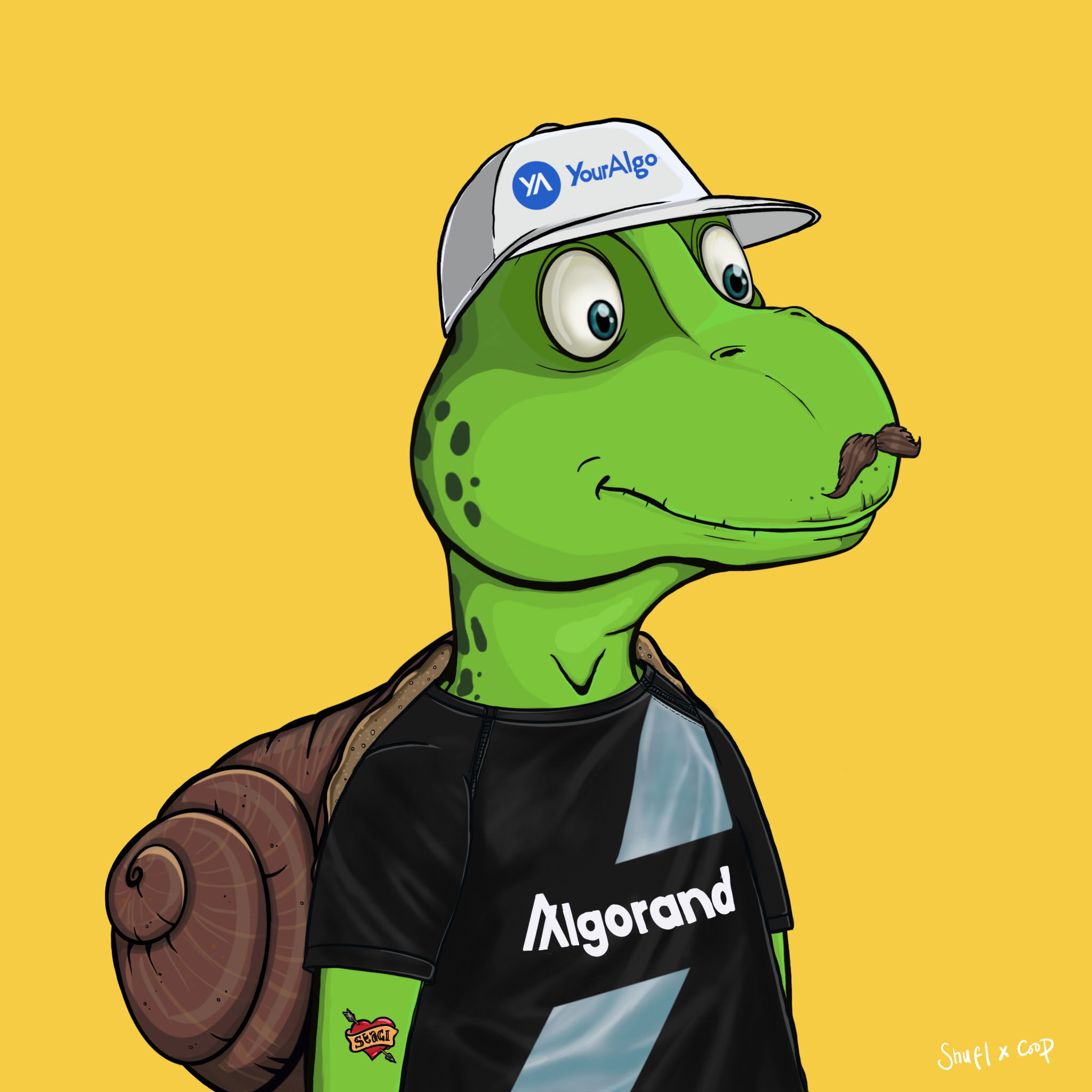 Coopa Troopa #1300 NFT on Algorand