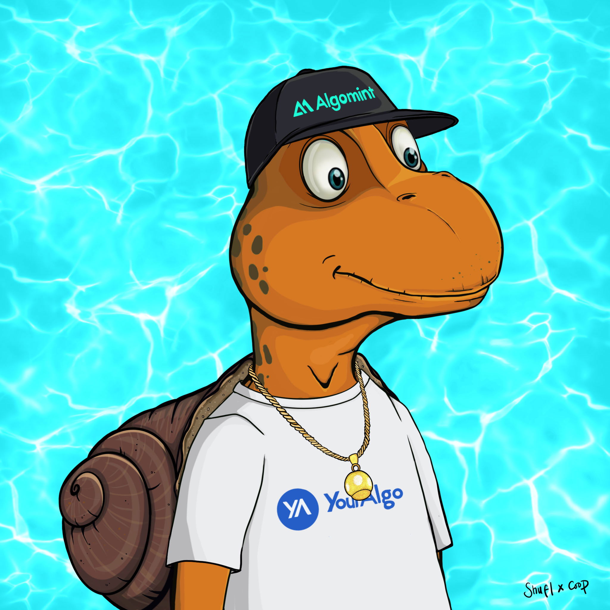 Coopa Troopa #1302 NFT on Algorand