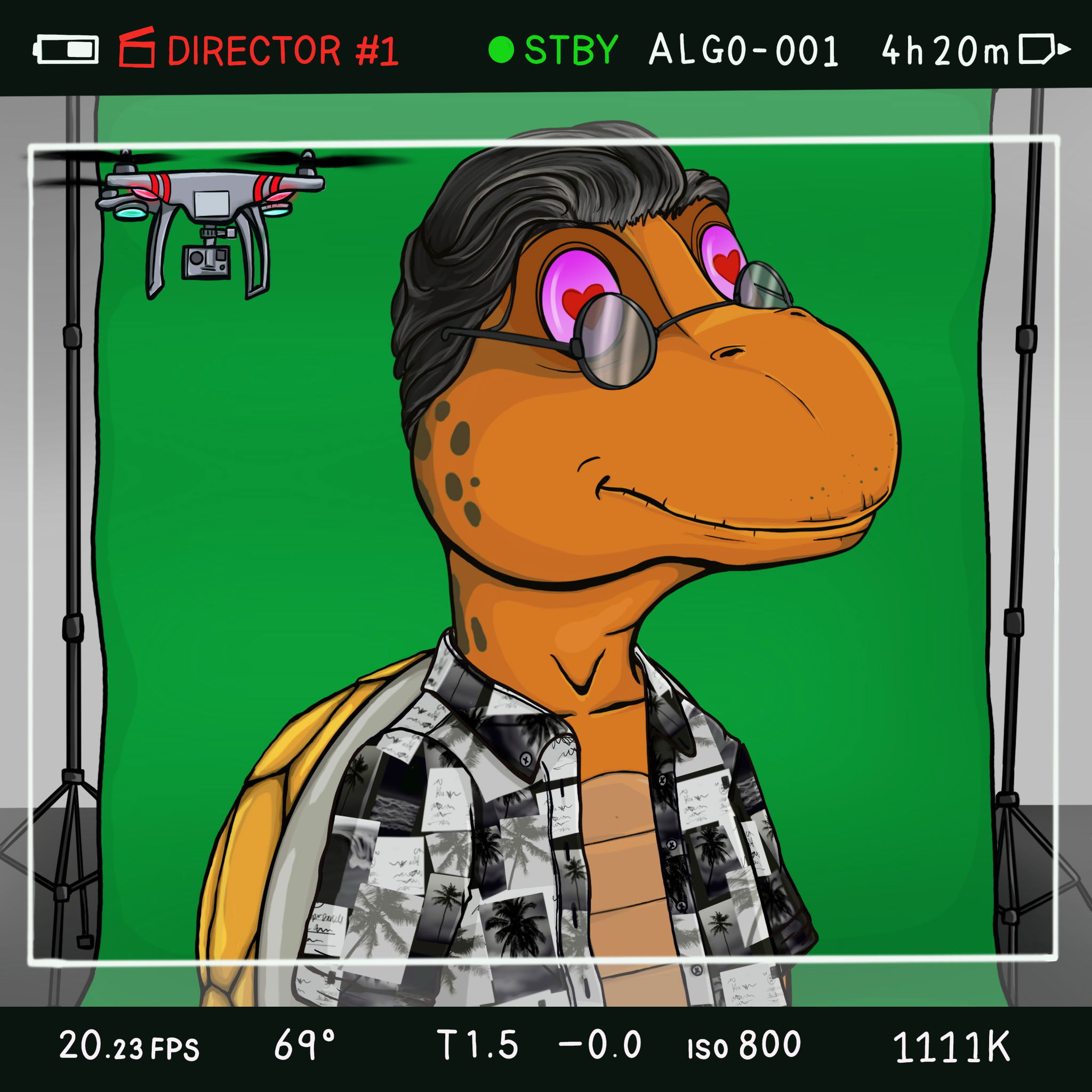 Coopa Troopa #1311 NFT on Algorand