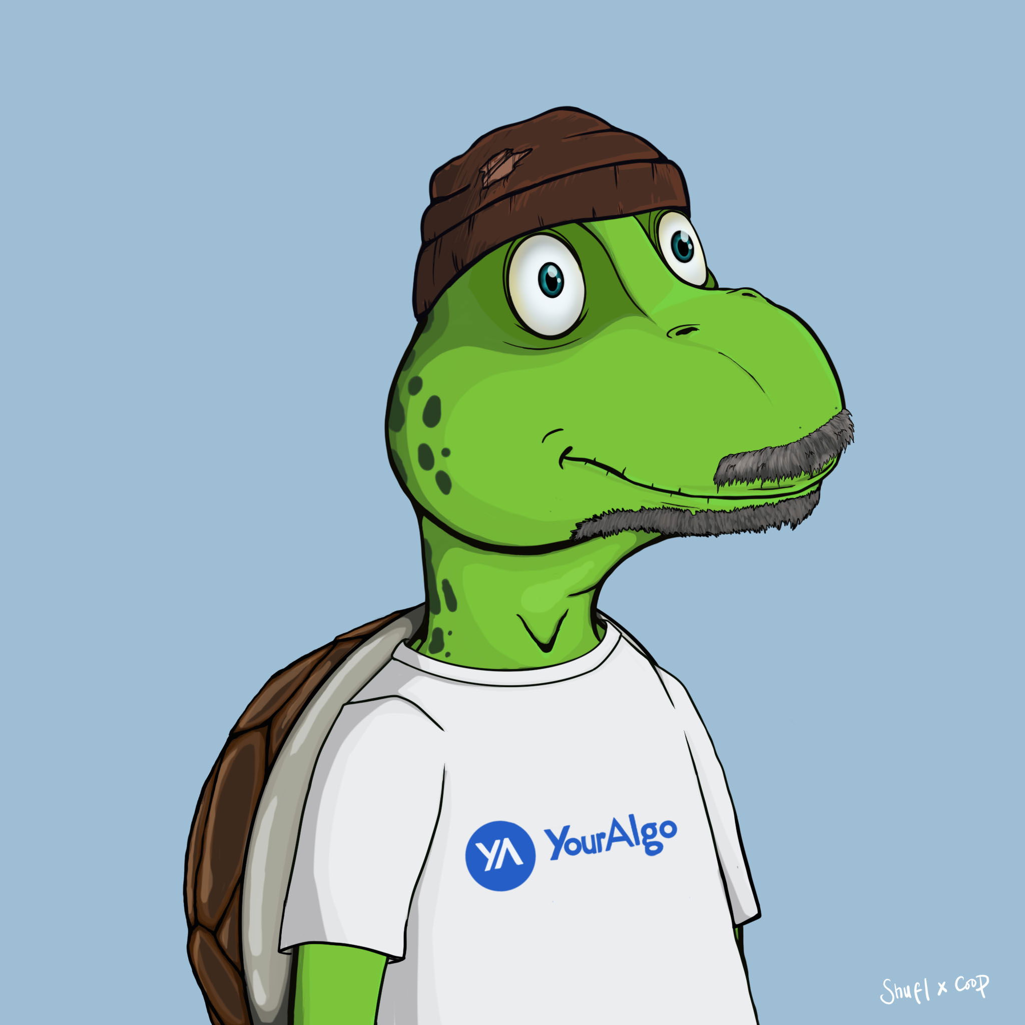 Coopa Troopa #1329 NFT on Algorand