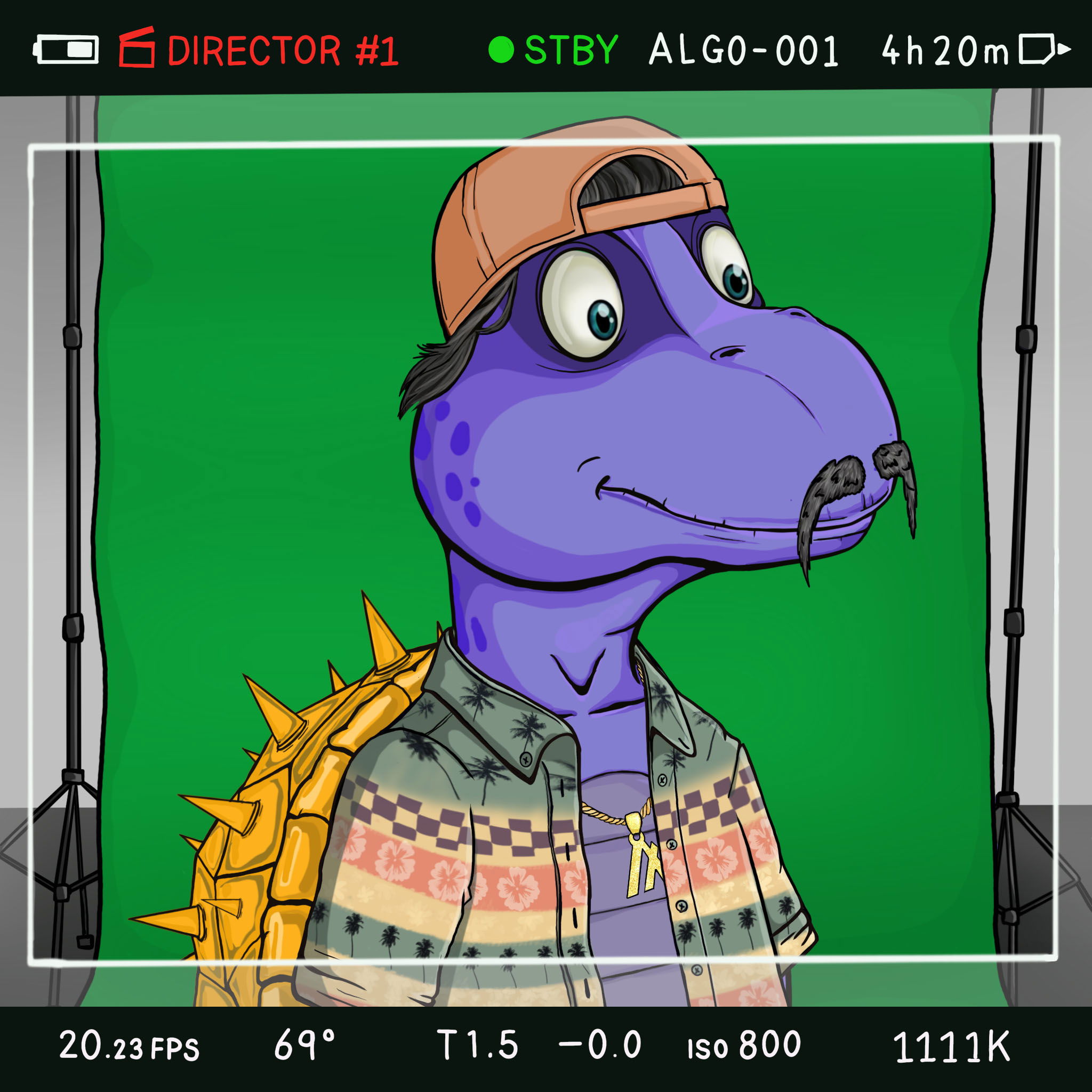 Coopa Troopa #1358 NFT on Algorand