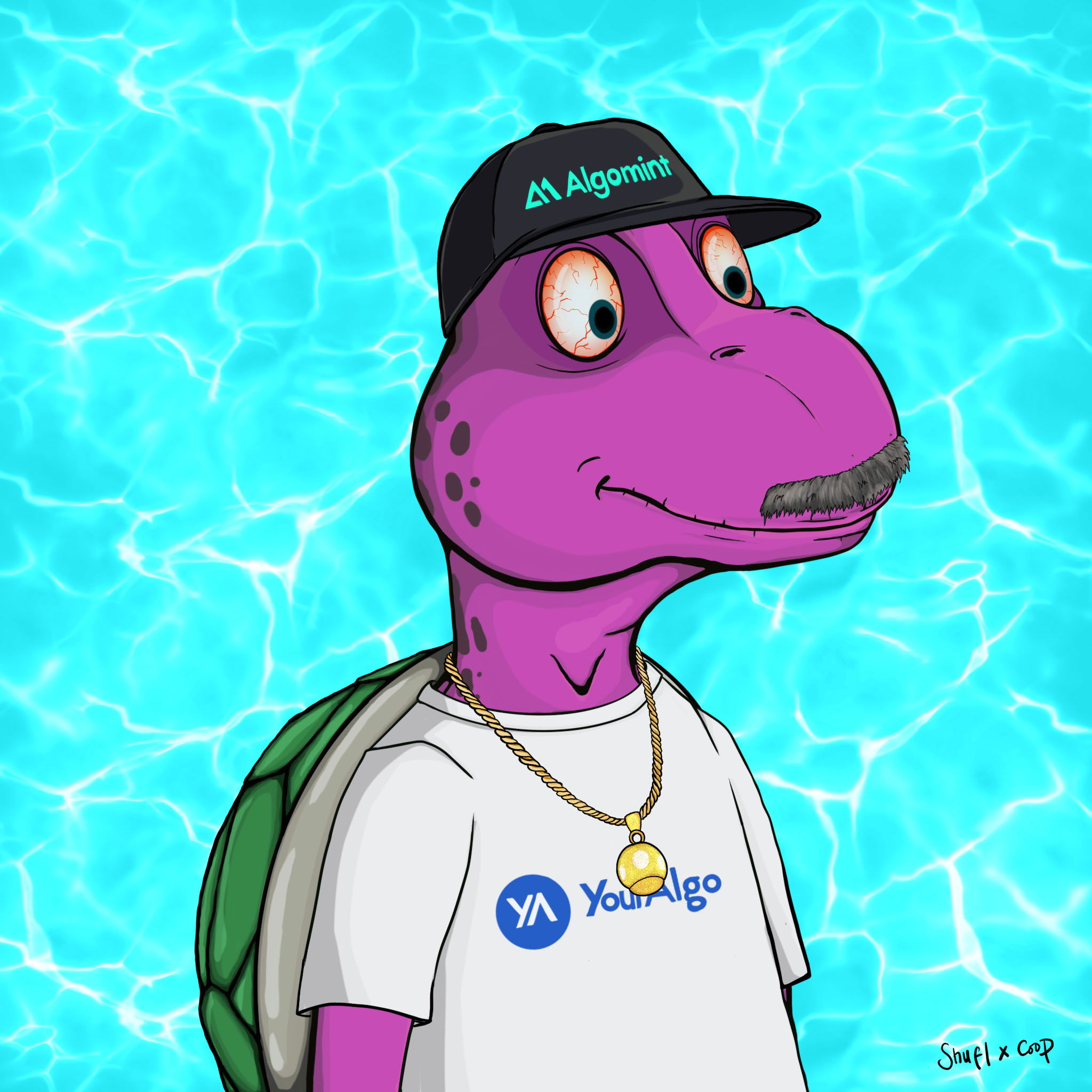 Coopa Troopa #1368 NFT on Algorand