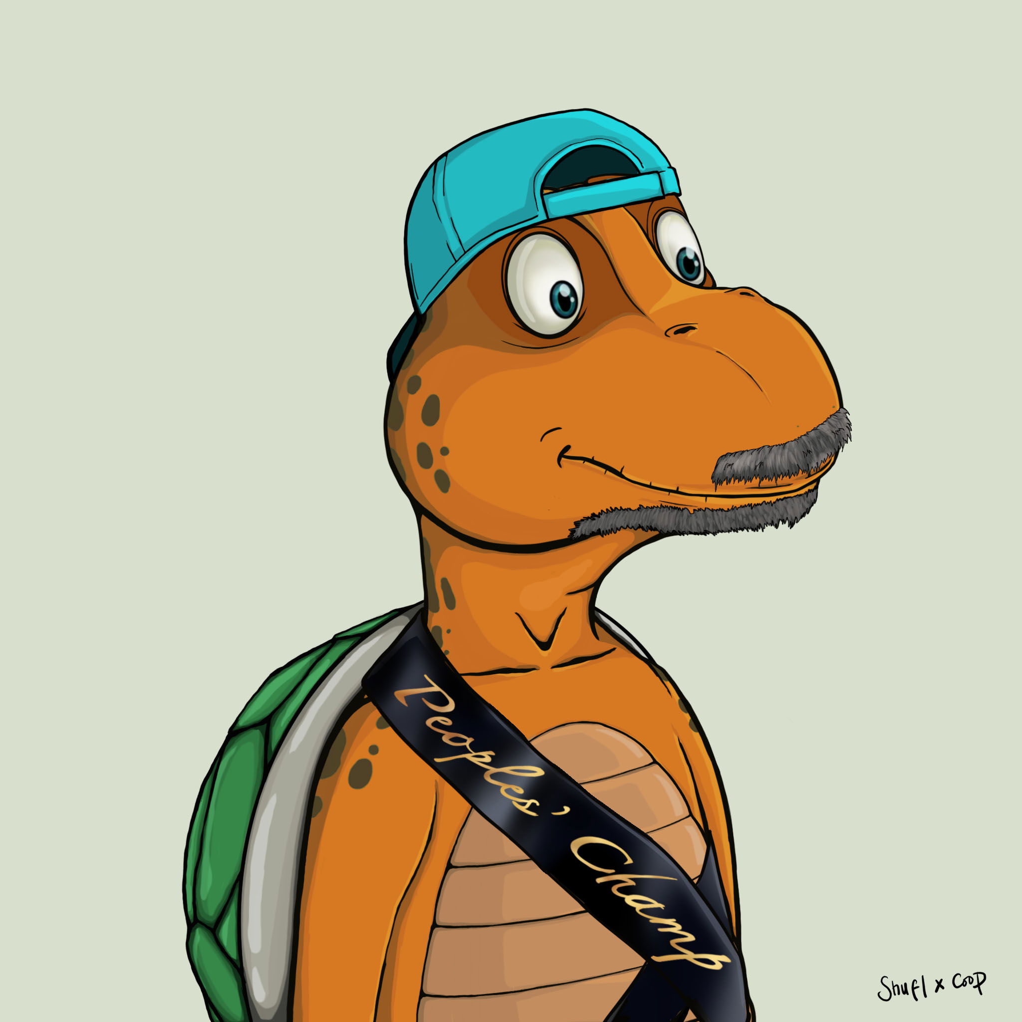 Coopa Troopa #1381 NFT on Algorand