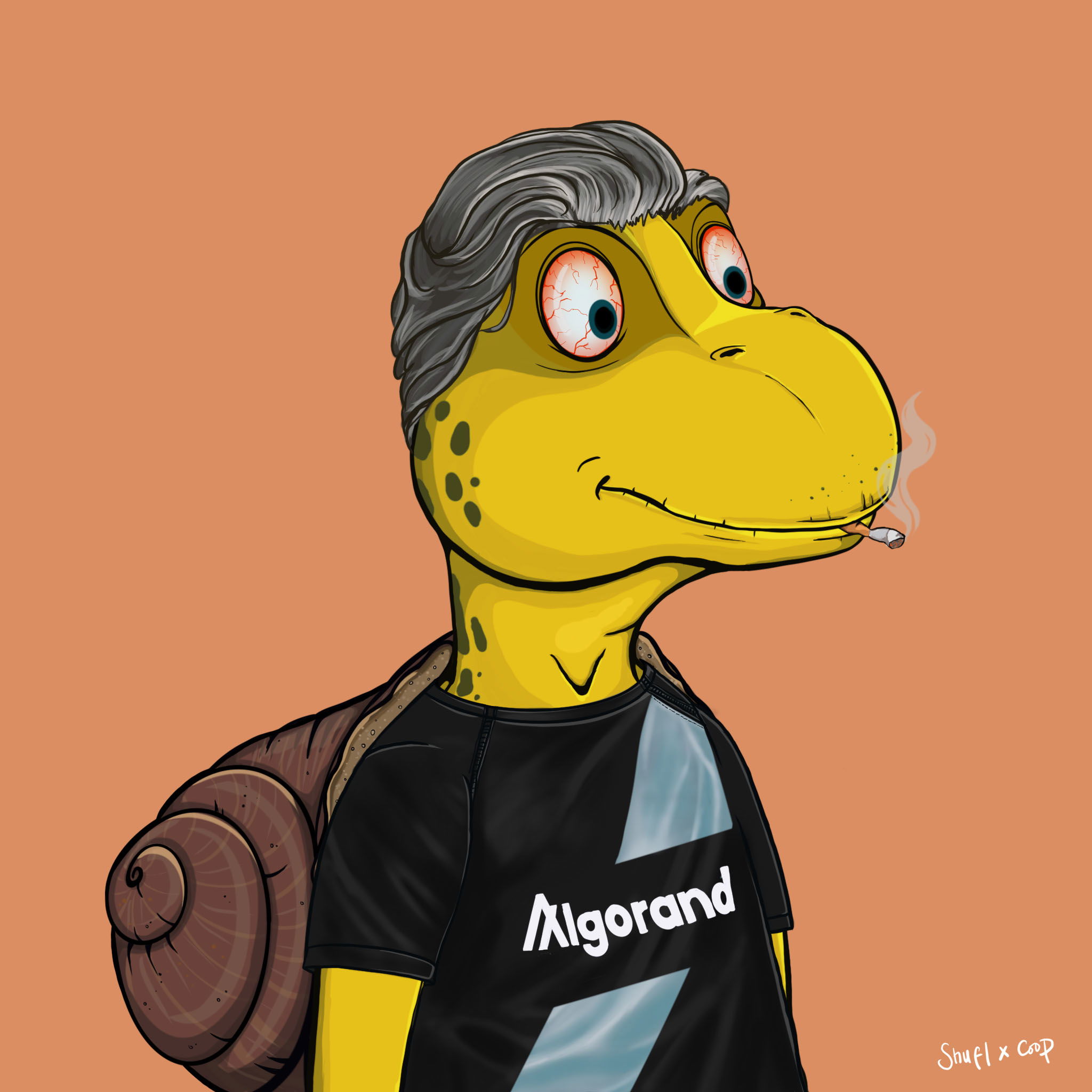 Coopa Troopa #1383 NFT on Algorand