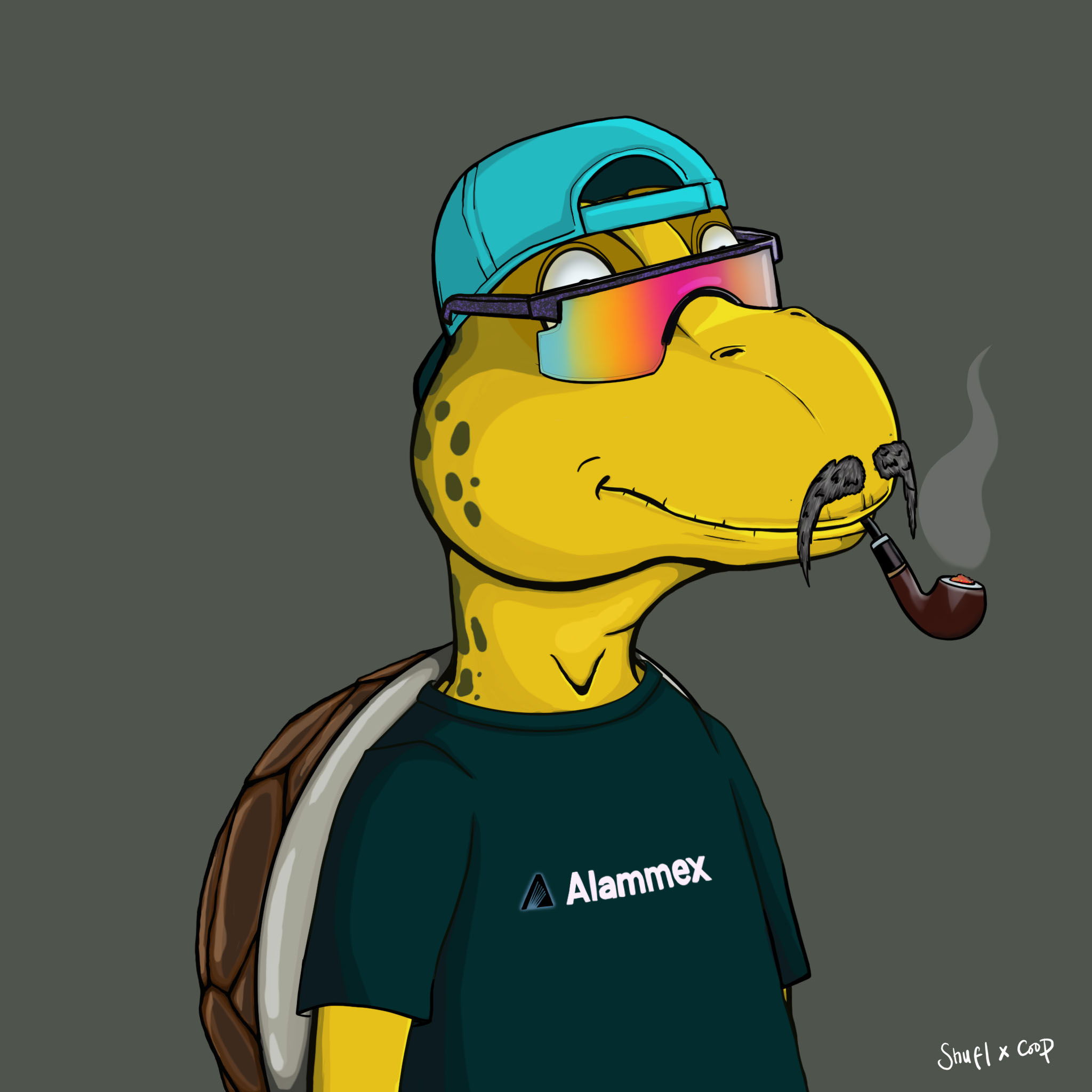 Coopa Troopa #1406 NFT on Algorand