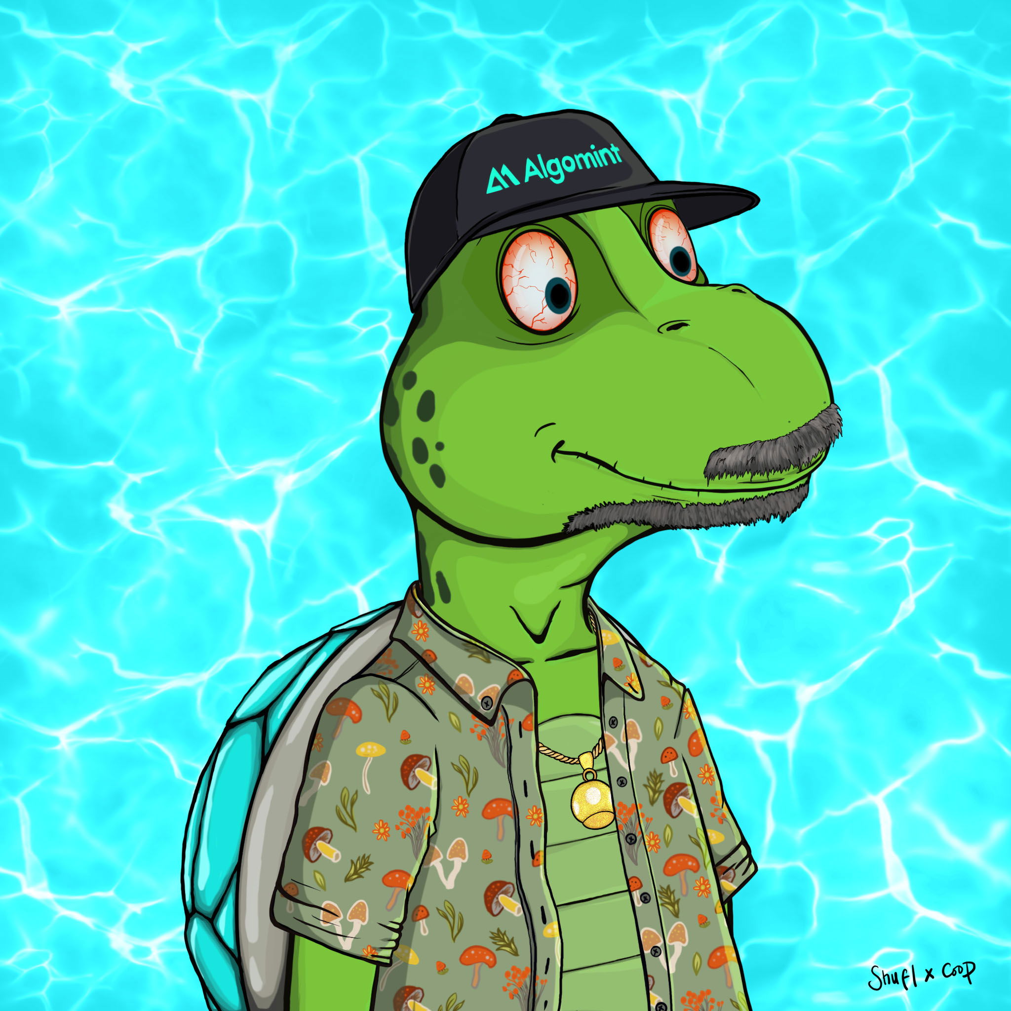 Coopa Troopa #1416 NFT on Algorand