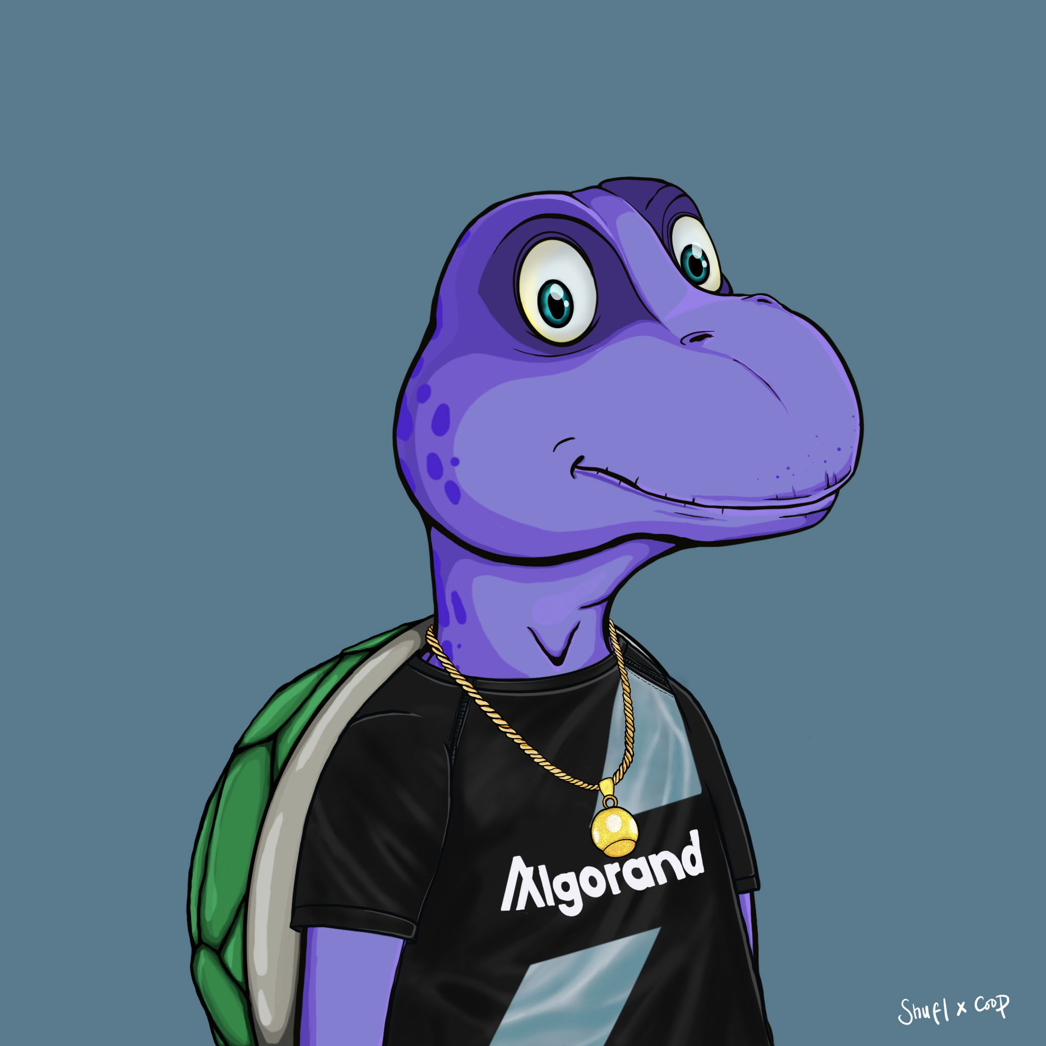 Coopa Troopa #1425 NFT on Algorand