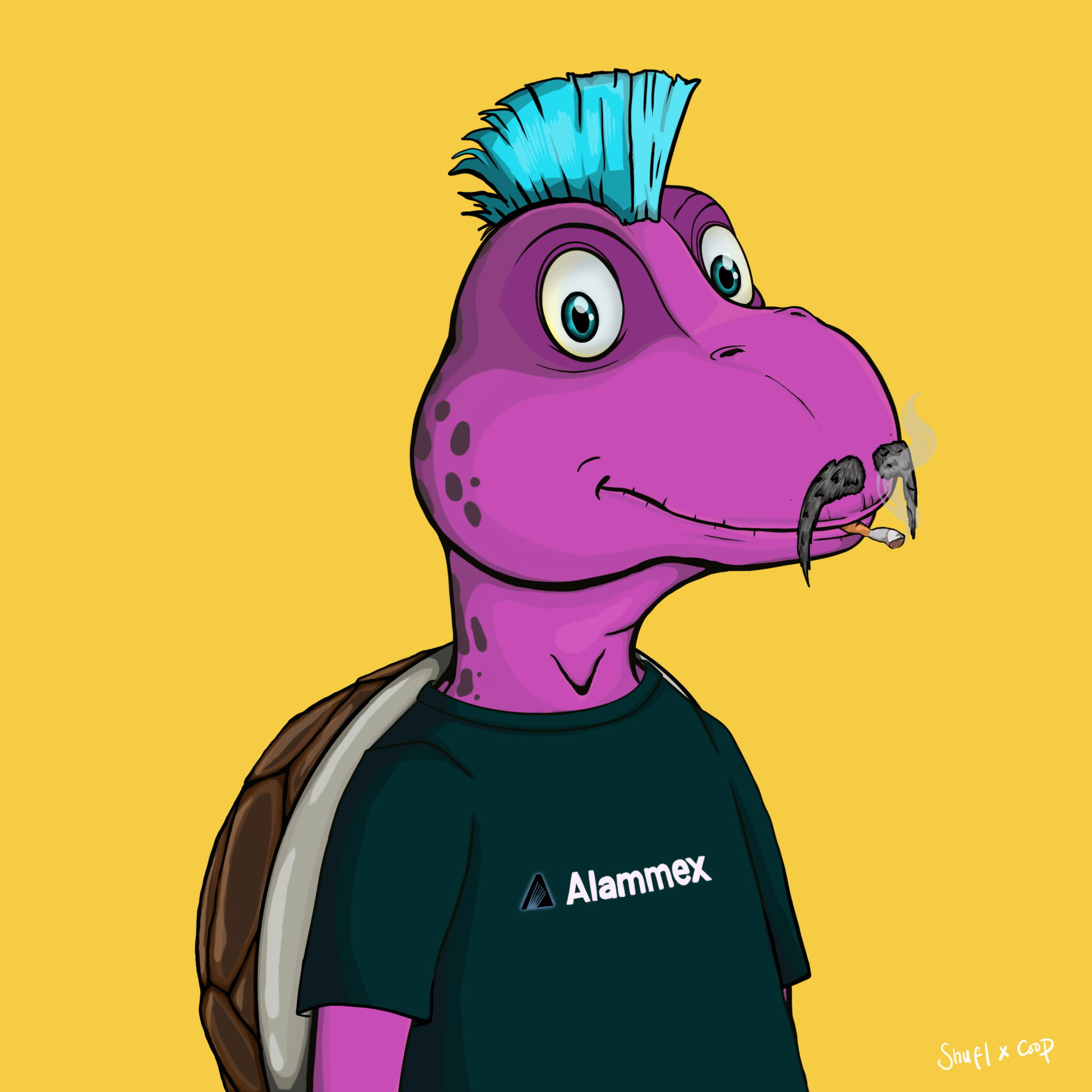 Coopa Troopa #1428 NFT on Algorand