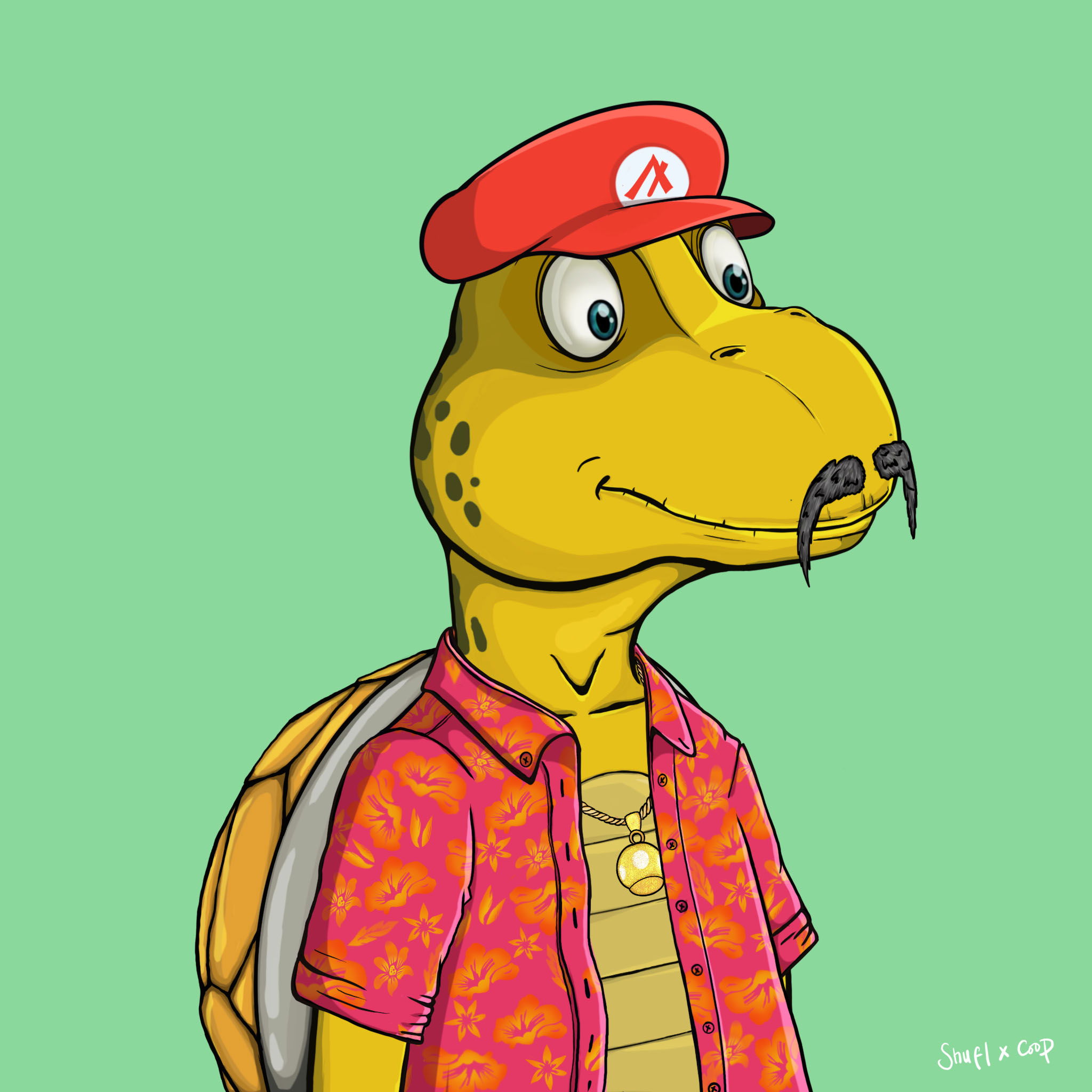 Coopa Troopa #1438 NFT on Algorand