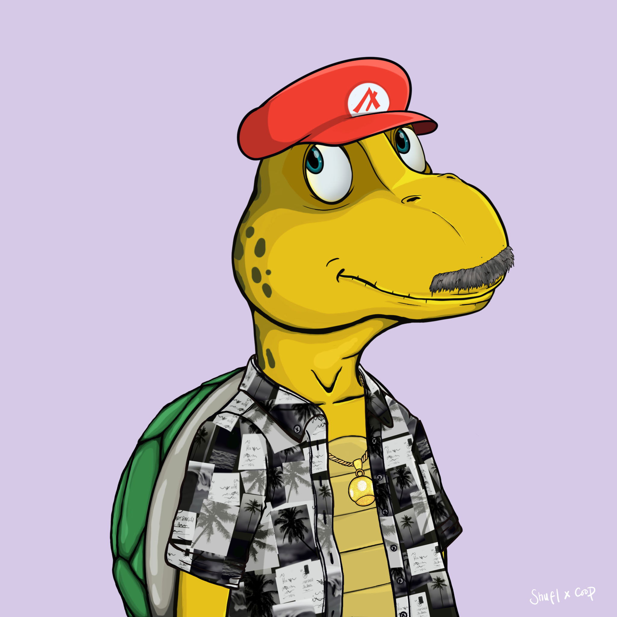 Coopa Troopa #1439 NFT on Algorand