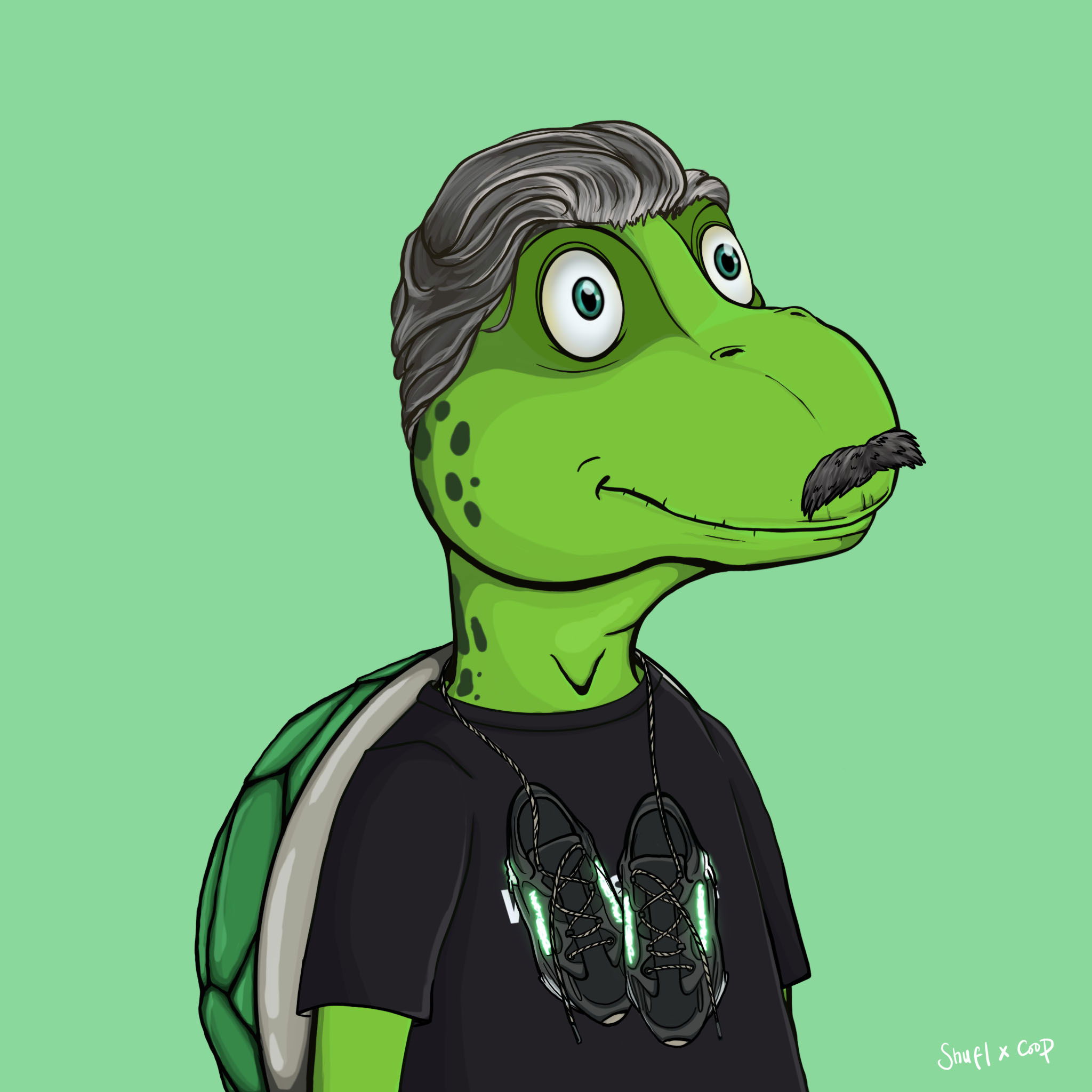 Coopa Troopa #1453 NFT on Algorand