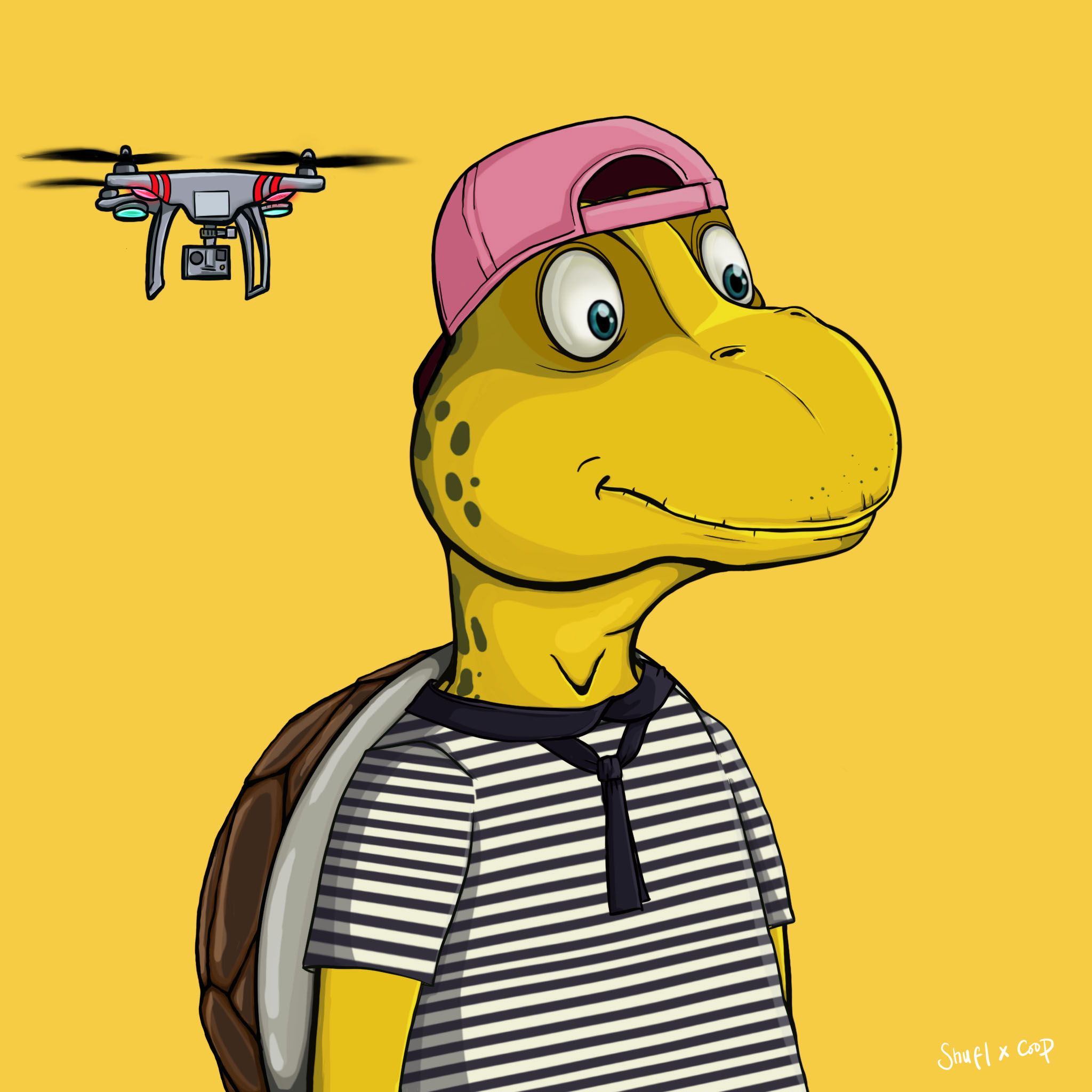 Coopa Troopa #1482 NFT on Algorand