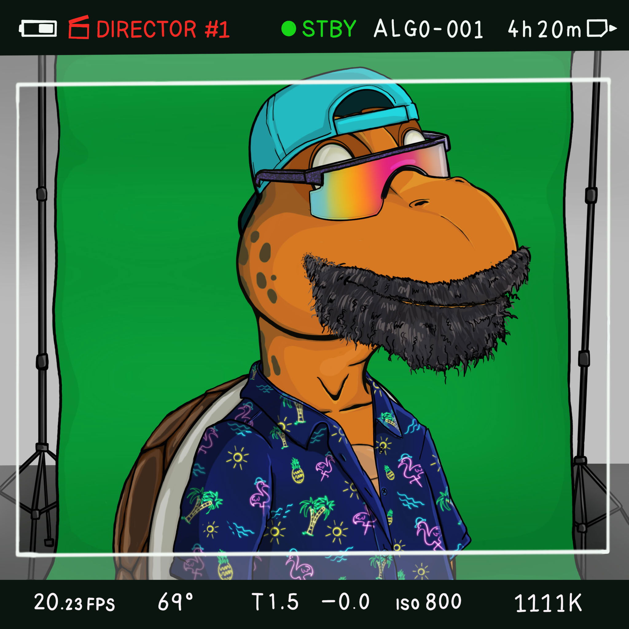 Coopa Troopa #1496 NFT on Algorand