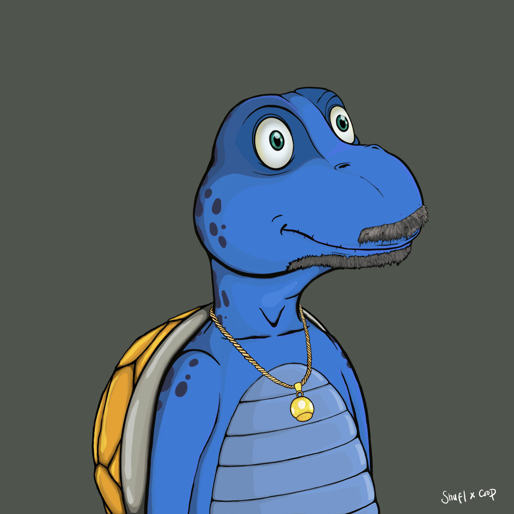 Coopa Troopa #1497 NFT on Algorand