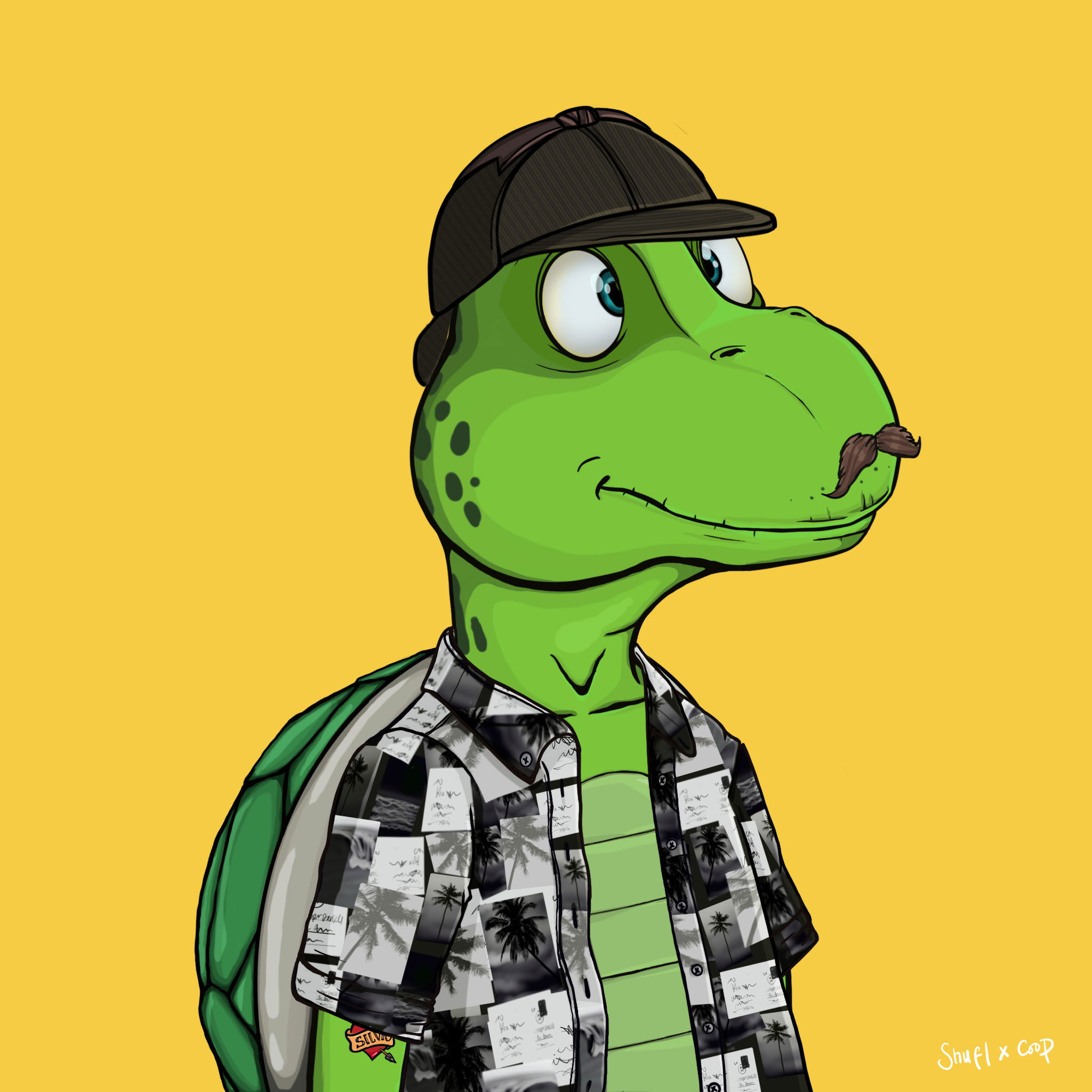 Coopa Troopa #1501 NFT on Algorand