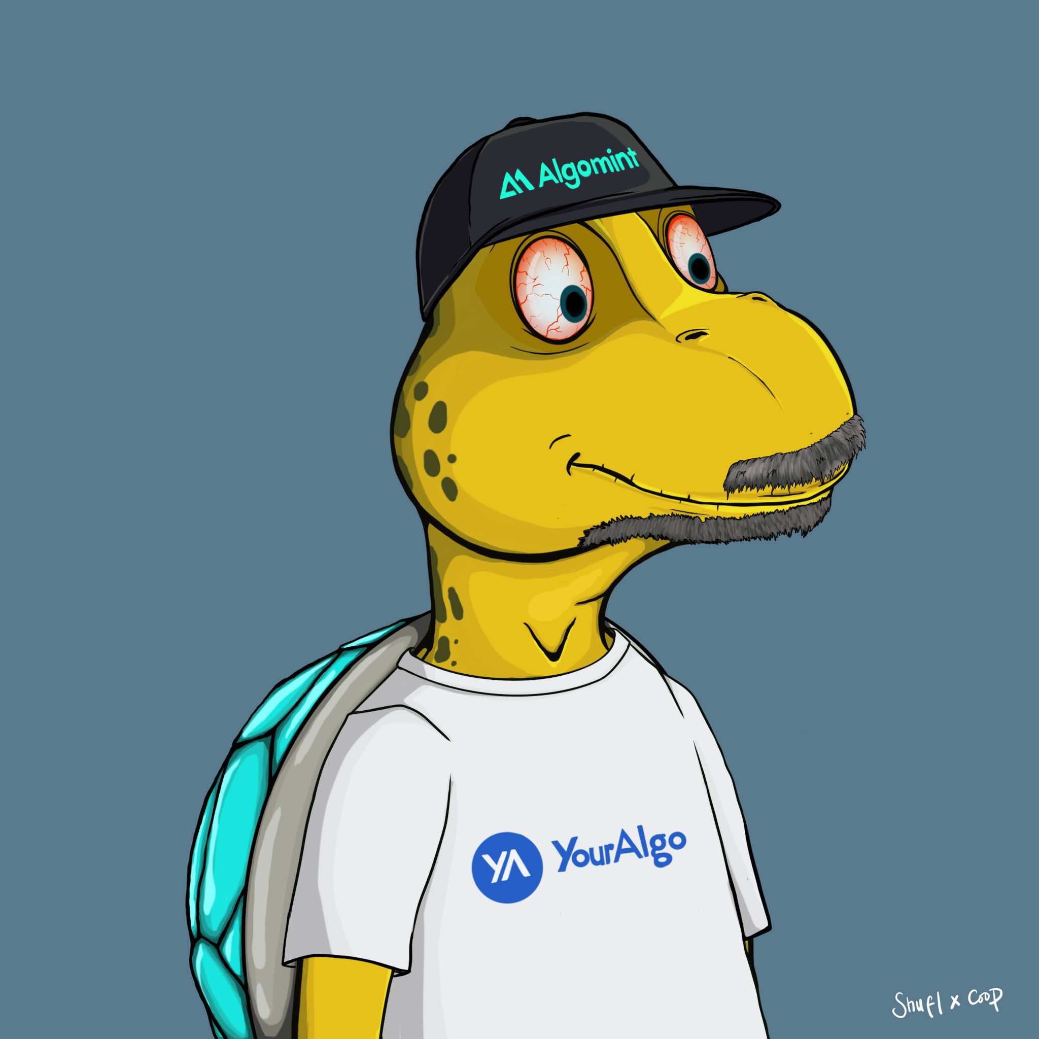 Coopa Troopa #1502 NFT on Algorand