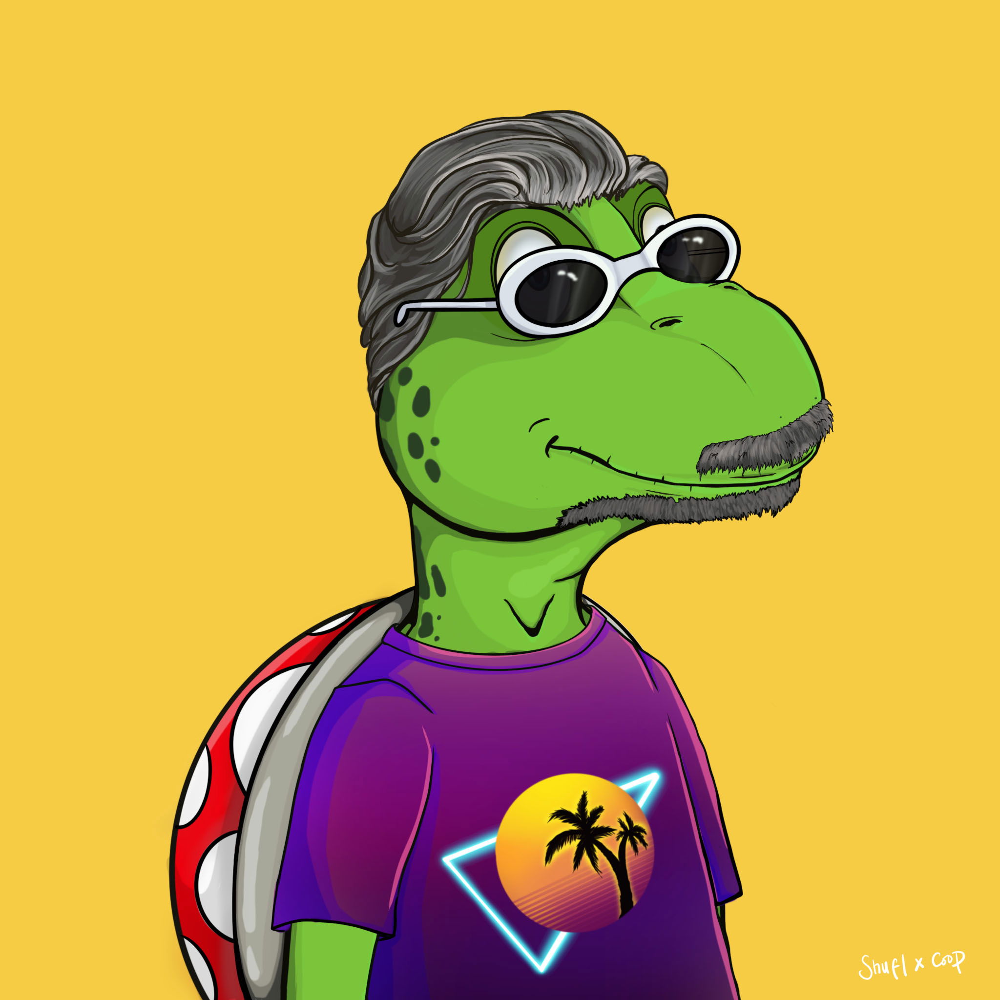 Coopa Troopa #1506 NFT on Algorand