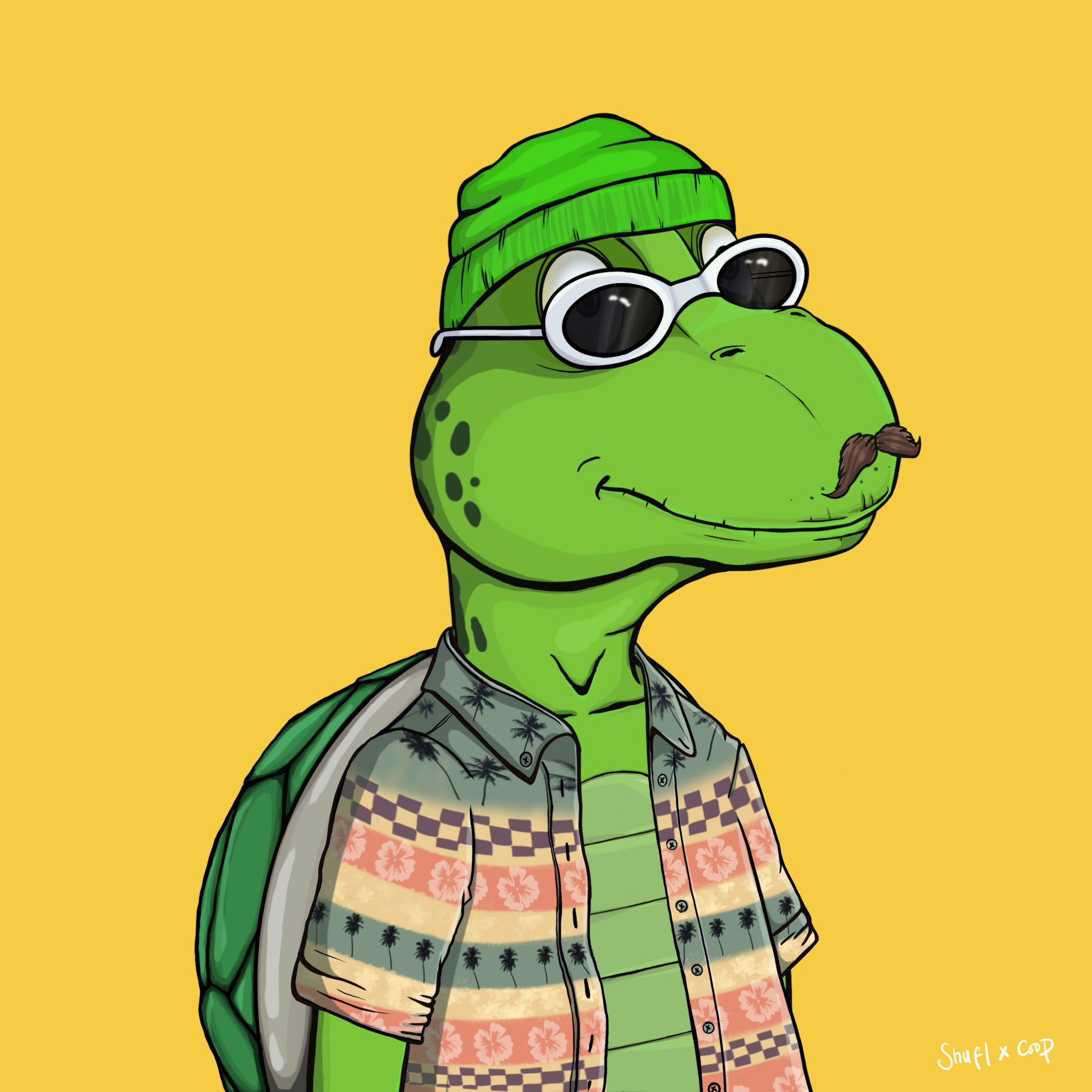 Coopa Troopa #1524 NFT on Algorand