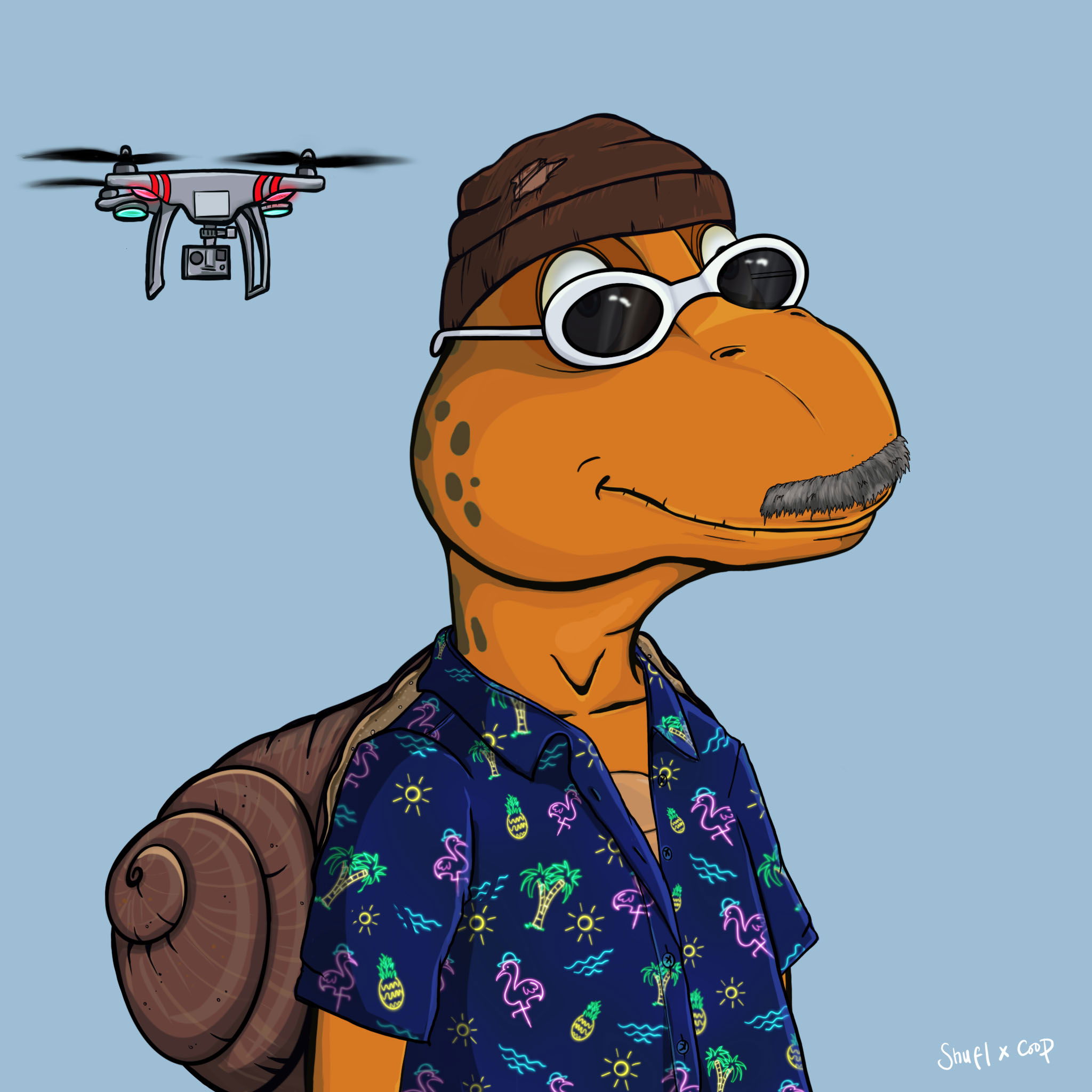 Coopa Troopa #1563 NFT on Algorand