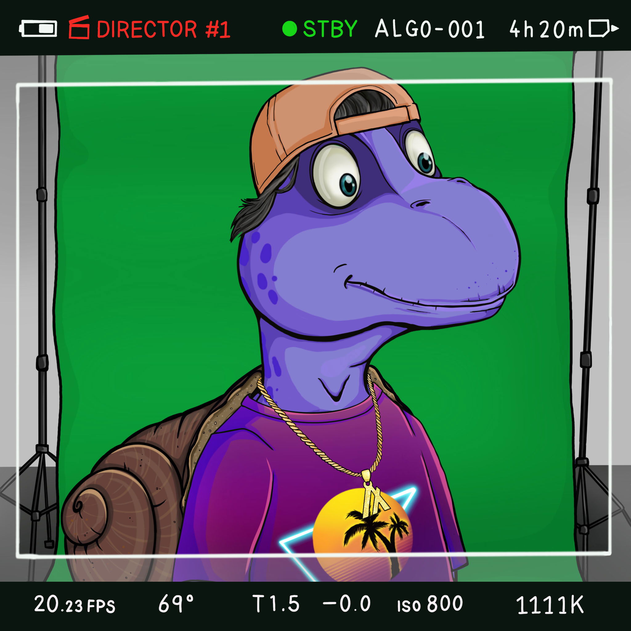 Coopa Troopa #1578 NFT on Algorand