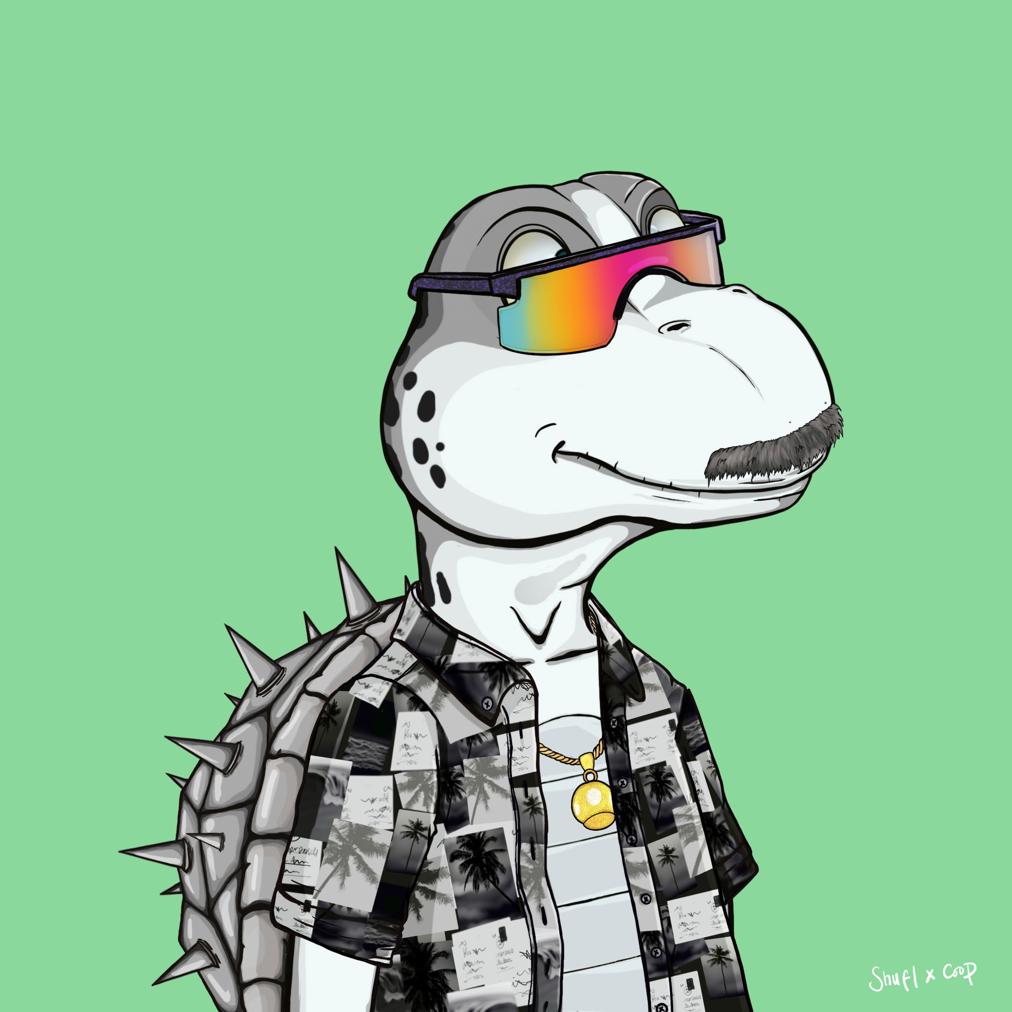 Coopa Troopa #158 NFT on Algorand