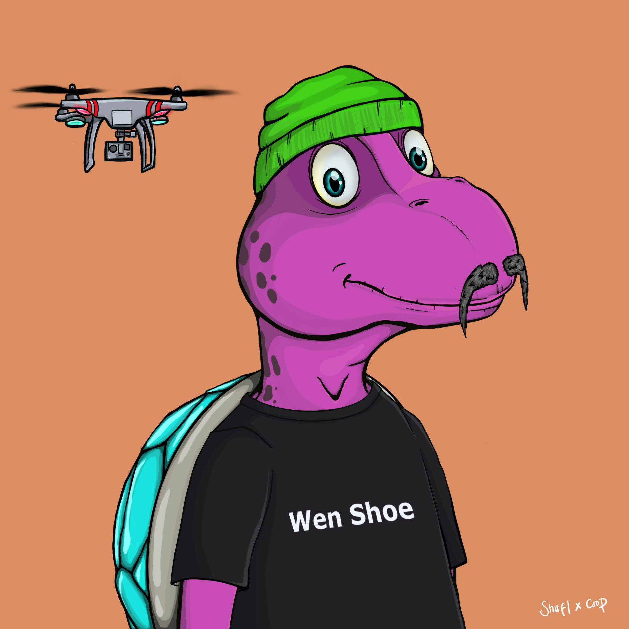 Coopa Troopa #1580 NFT on Algorand