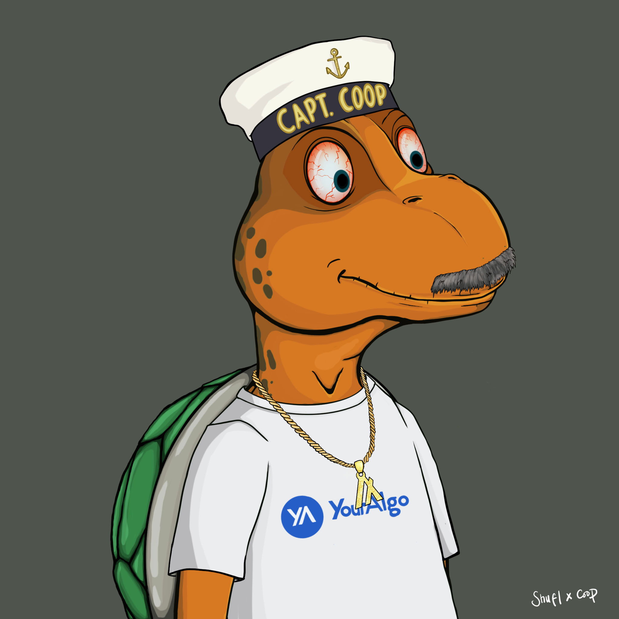 Coopa Troopa #1586 NFT on Algorand