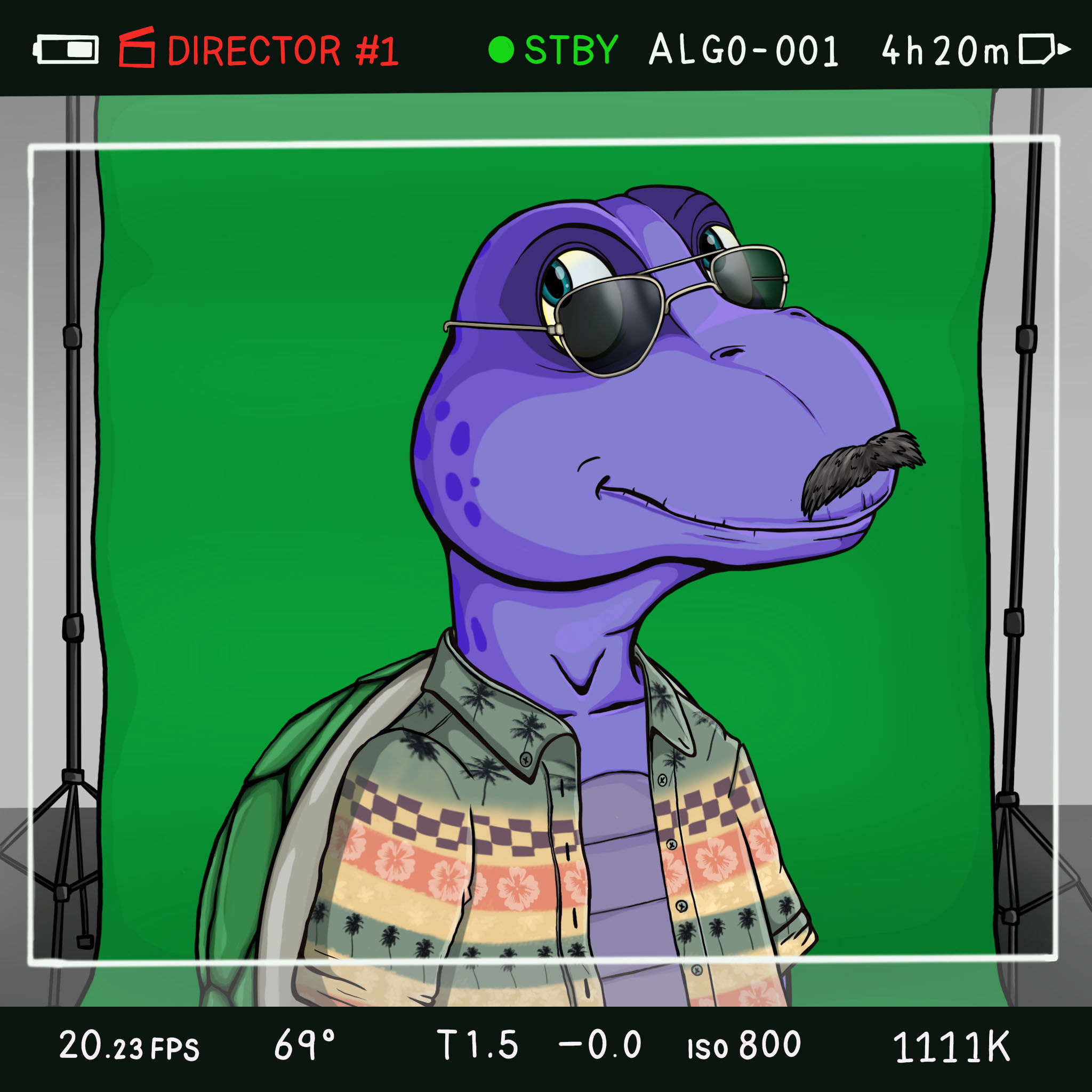 Coopa Troopa #1619 NFT on Algorand