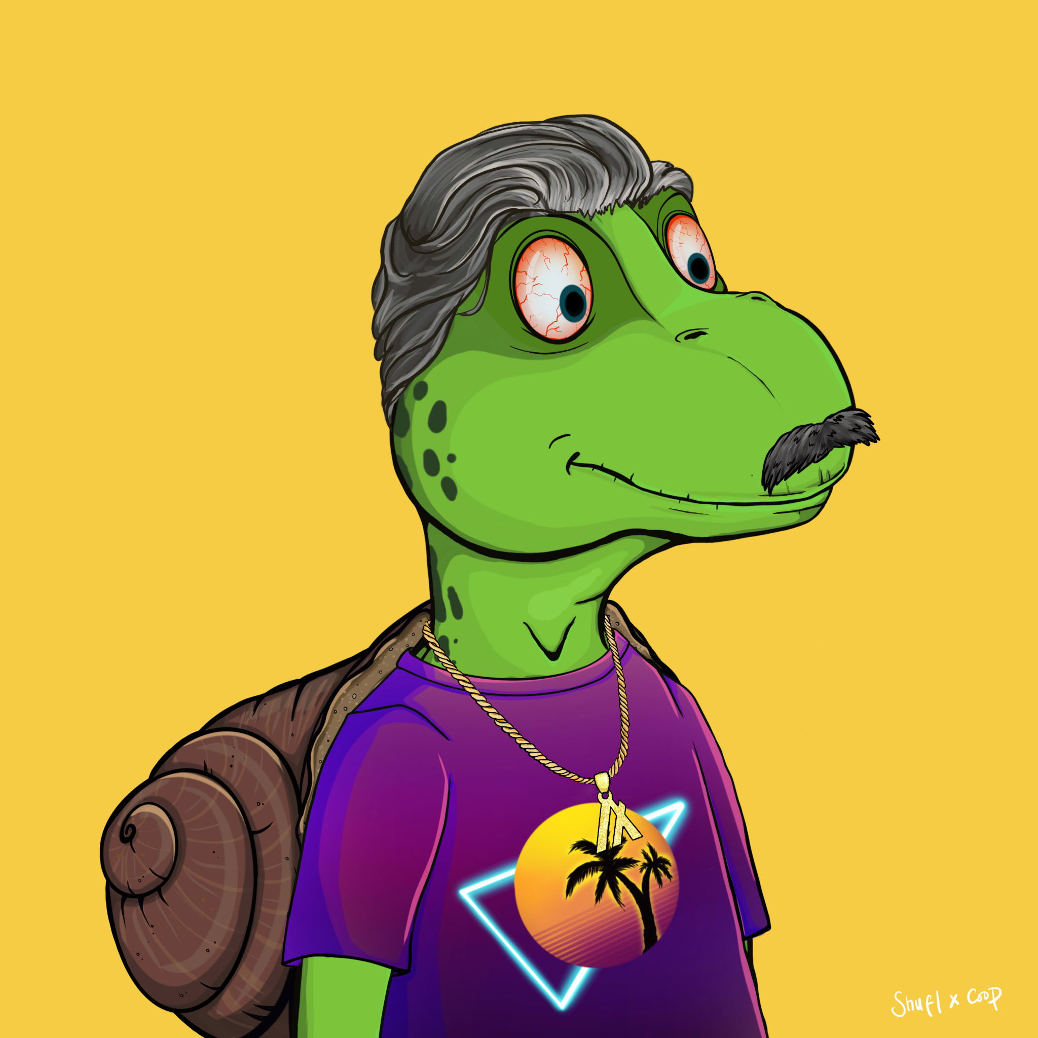 Coopa Troopa #162 NFT on Algorand