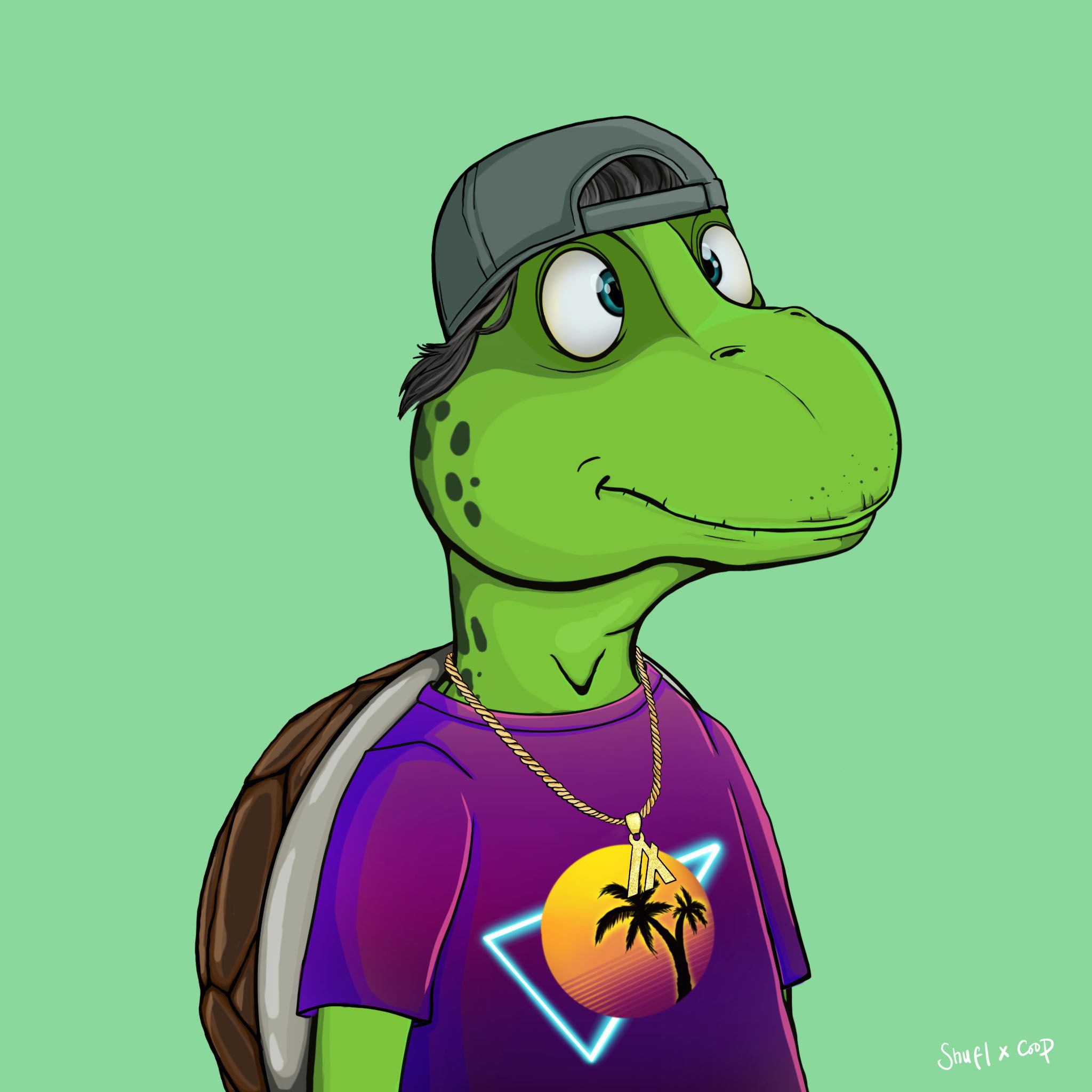 Coopa Troopa #1624 NFT on Algorand