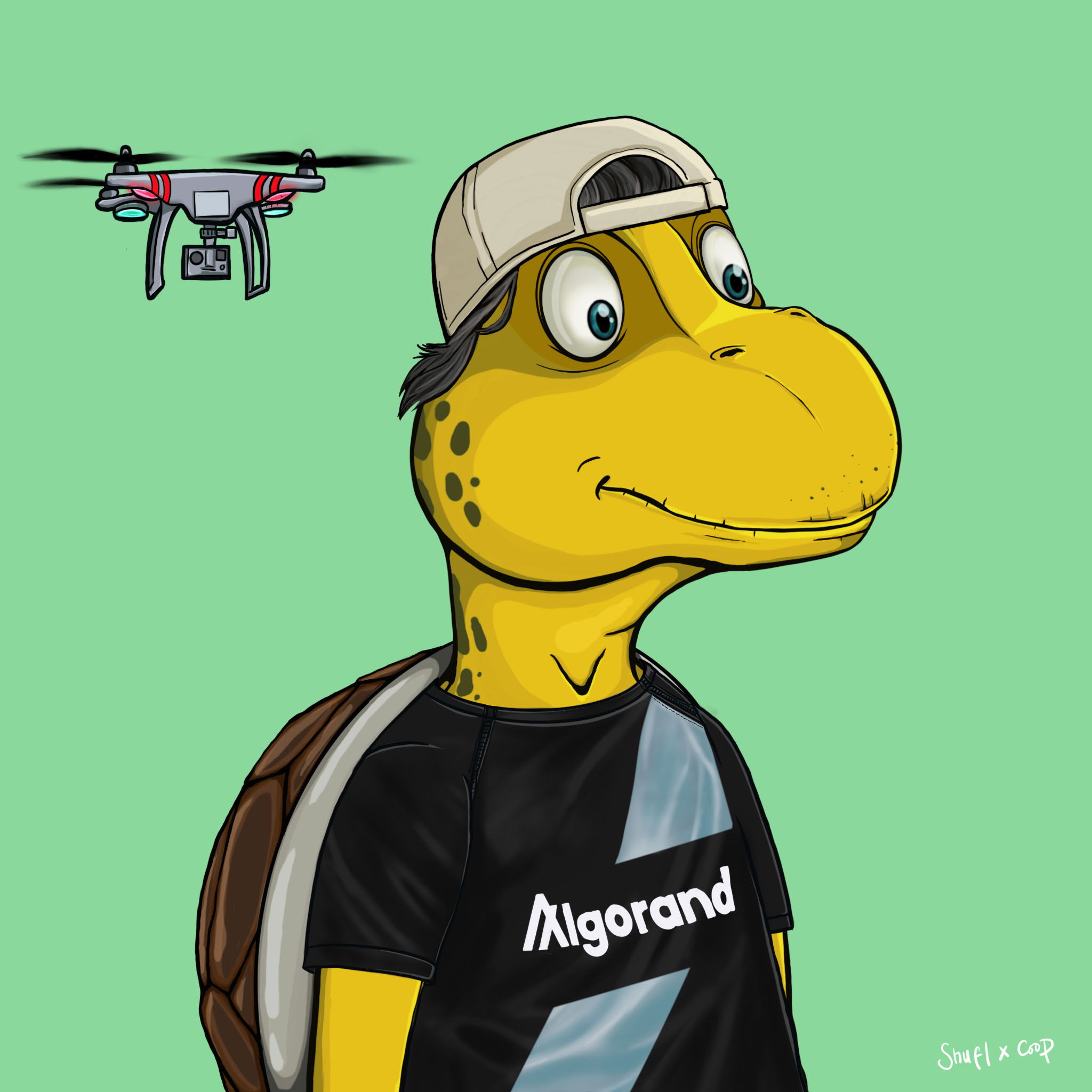 Coopa Troopa #1628 NFT on Algorand
