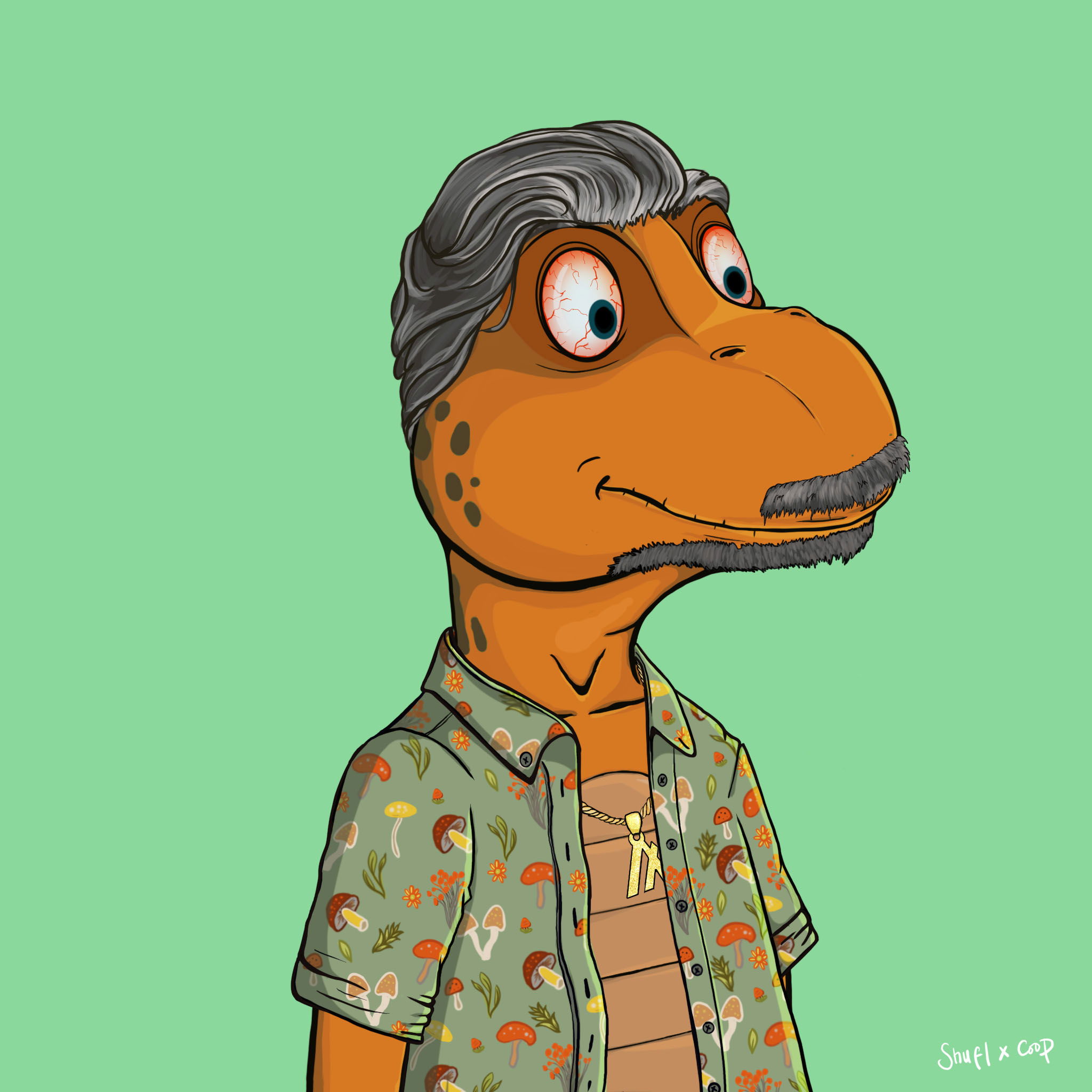 Coopa Troopa #1649 NFT on Algorand